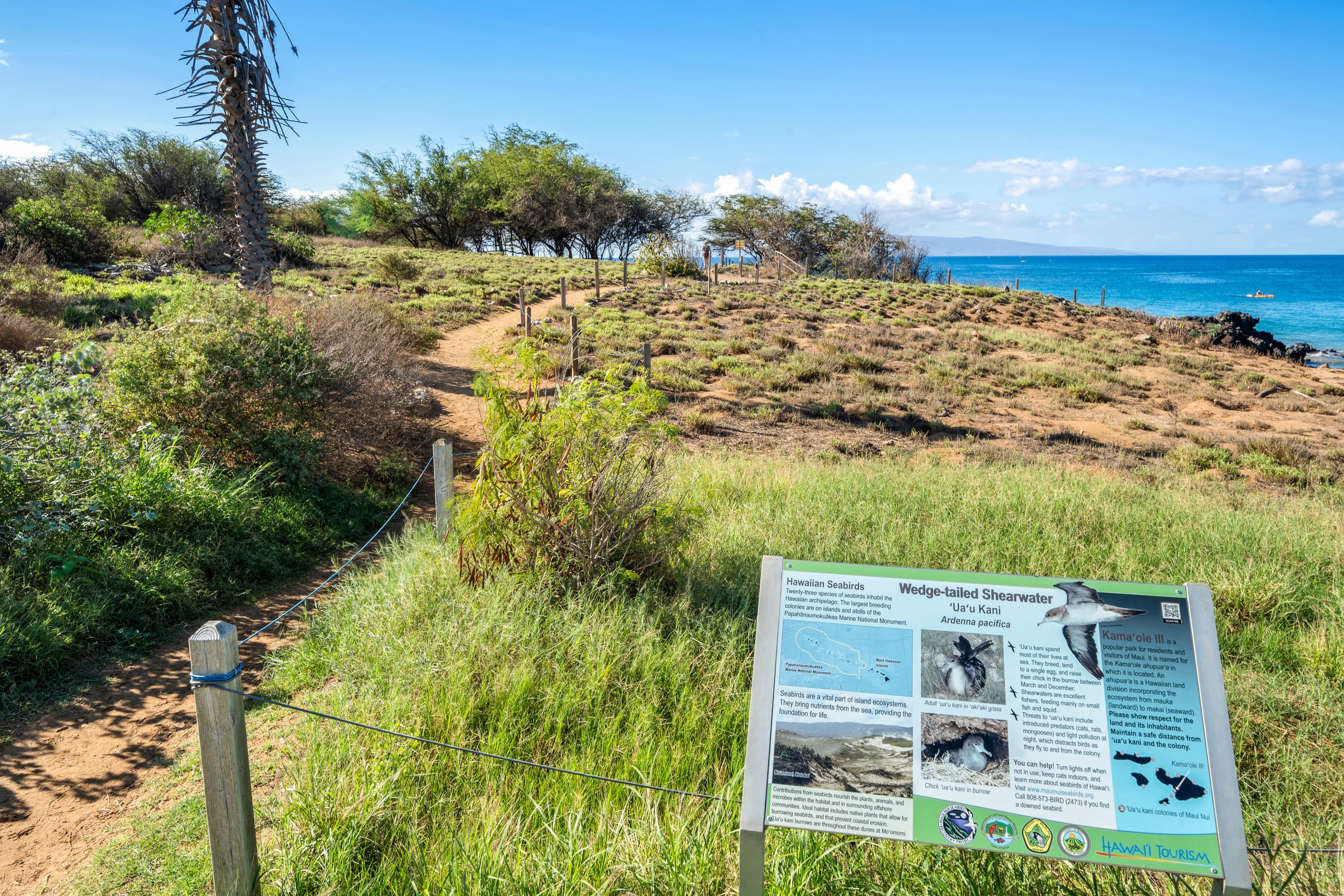 Condo in Kihei · ★4.88 · 1 bedroom · 2 beds · 1 bath - Image 30