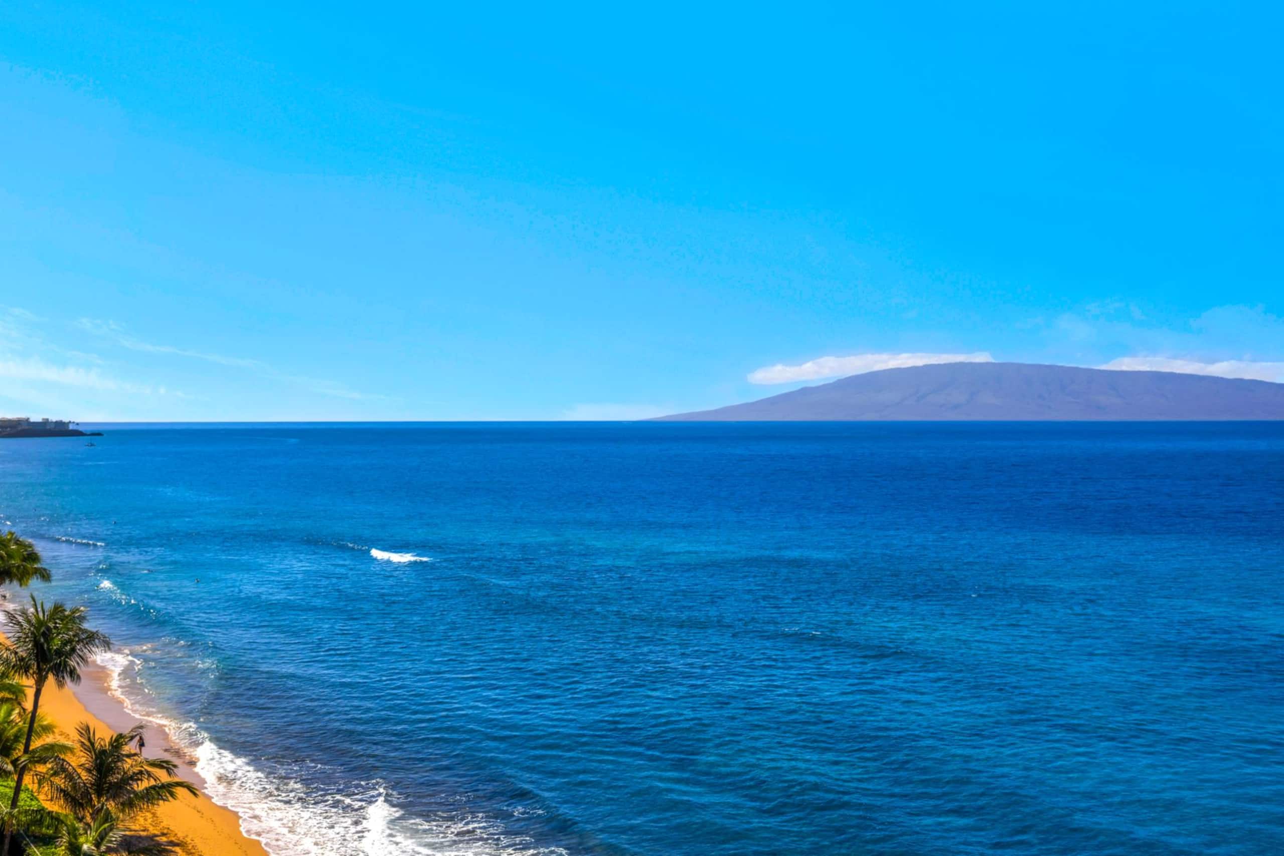 Condo in Lahaina · ★4.8 · 1 bedroom · 2 beds · 1 bath - Image 41
