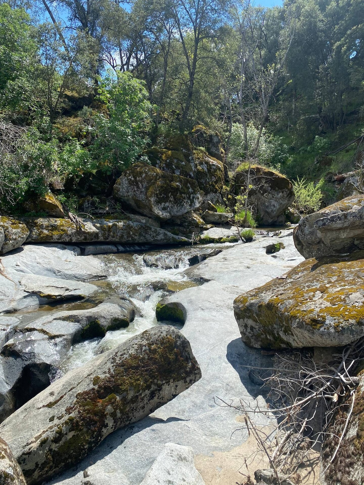 Top Airbnb: Love-Lee Nest Near Yosemite & Bass Lake! in Oakhurst