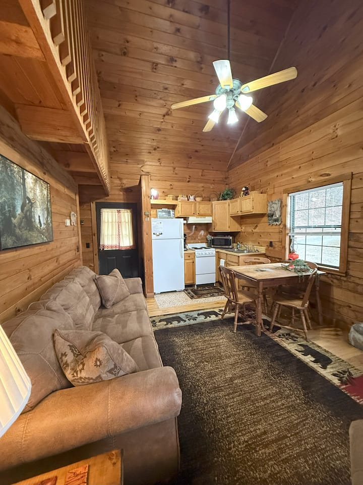 Cozy Bear Cabin-watch The Sunrise! Dogs Welcome! - Maggie Valley, NC