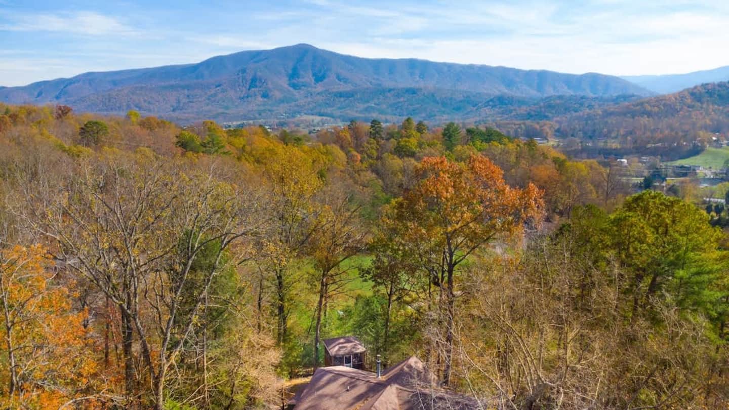 See the roofline poking through the canopy from the air - that's how deep into the woods this place really sits, ridge l