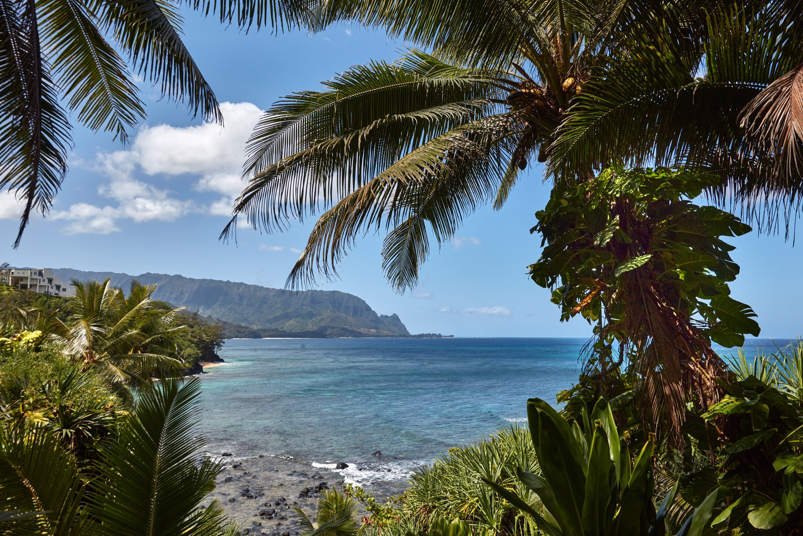 Home in Princeville · ★5.0 · 3 bedrooms · 3 beds · 3 baths - Image 39