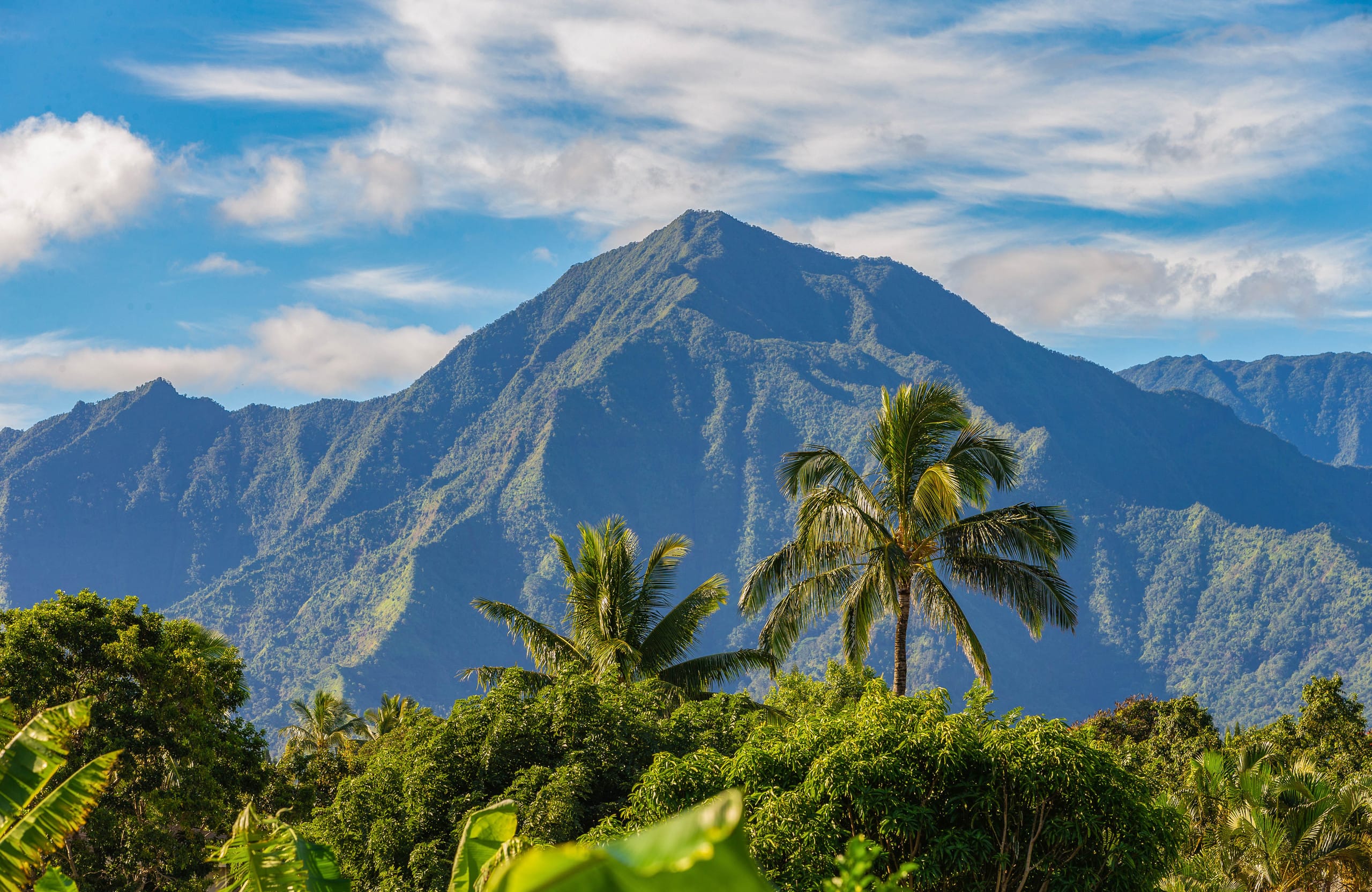 Home in Princeville · ★5.0 · 3 bedrooms · 3 beds · 3 baths - Image 32