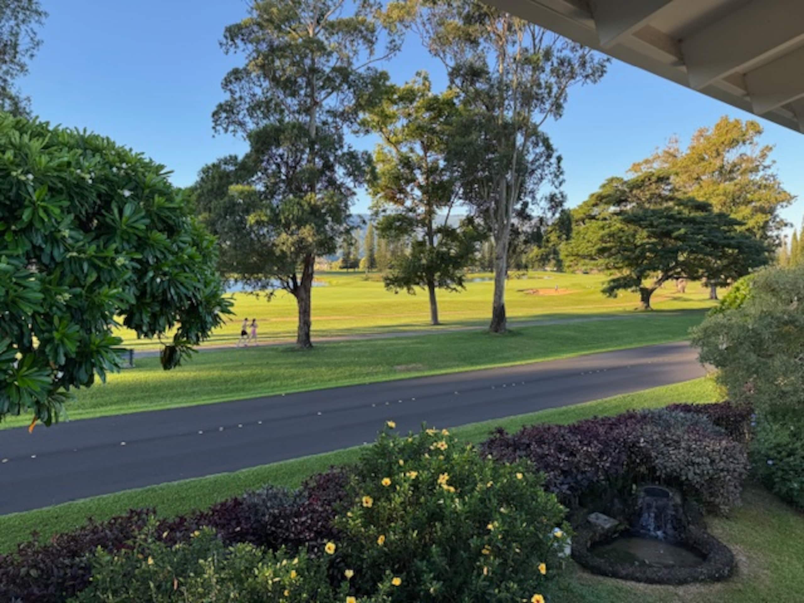 Home in Princeville · ★5.0 · 3 bedrooms · 3 beds · 3 baths - Image 31