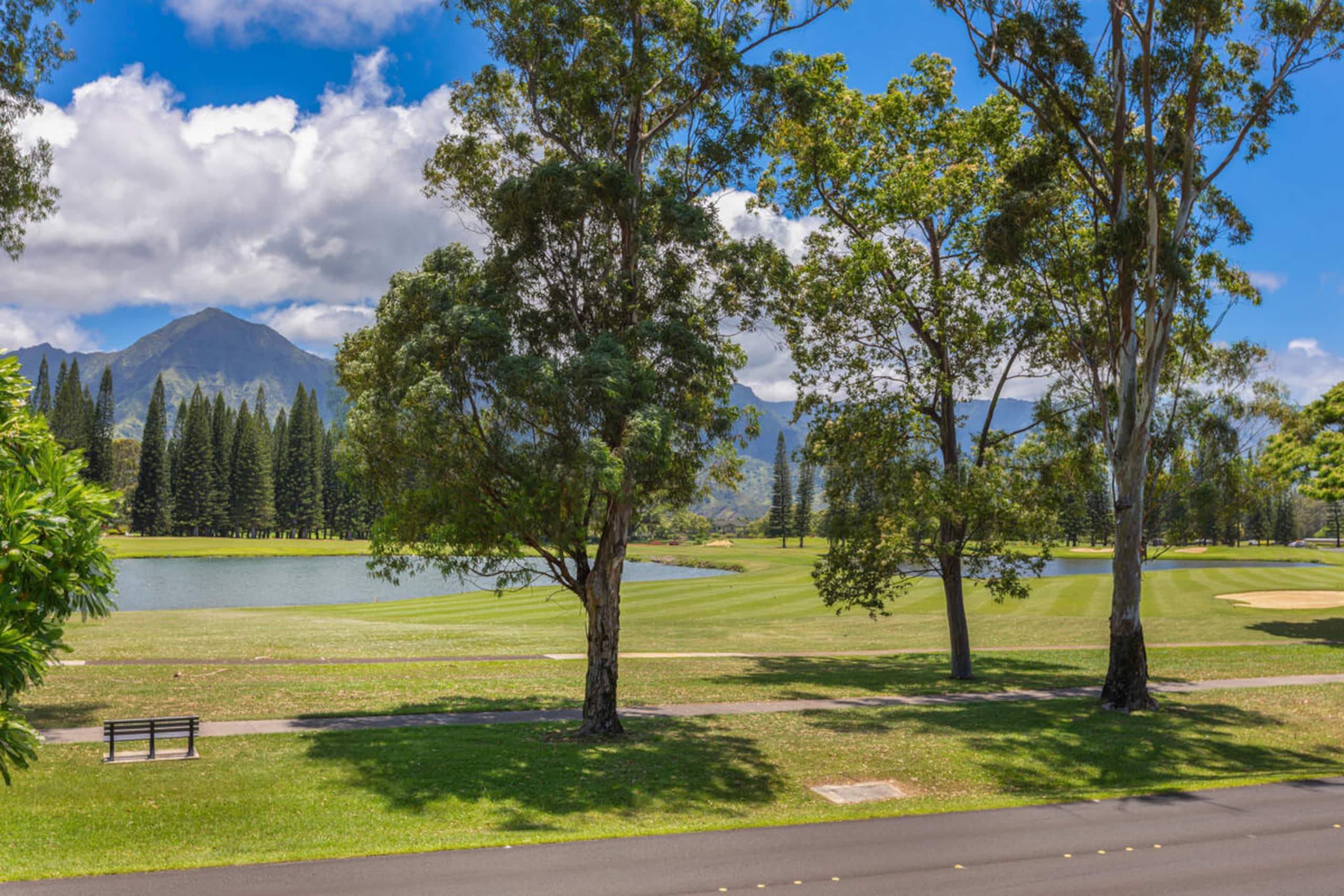 Home in Princeville · ★5.0 · 3 bedrooms · 3 beds · 3 baths - Image 40