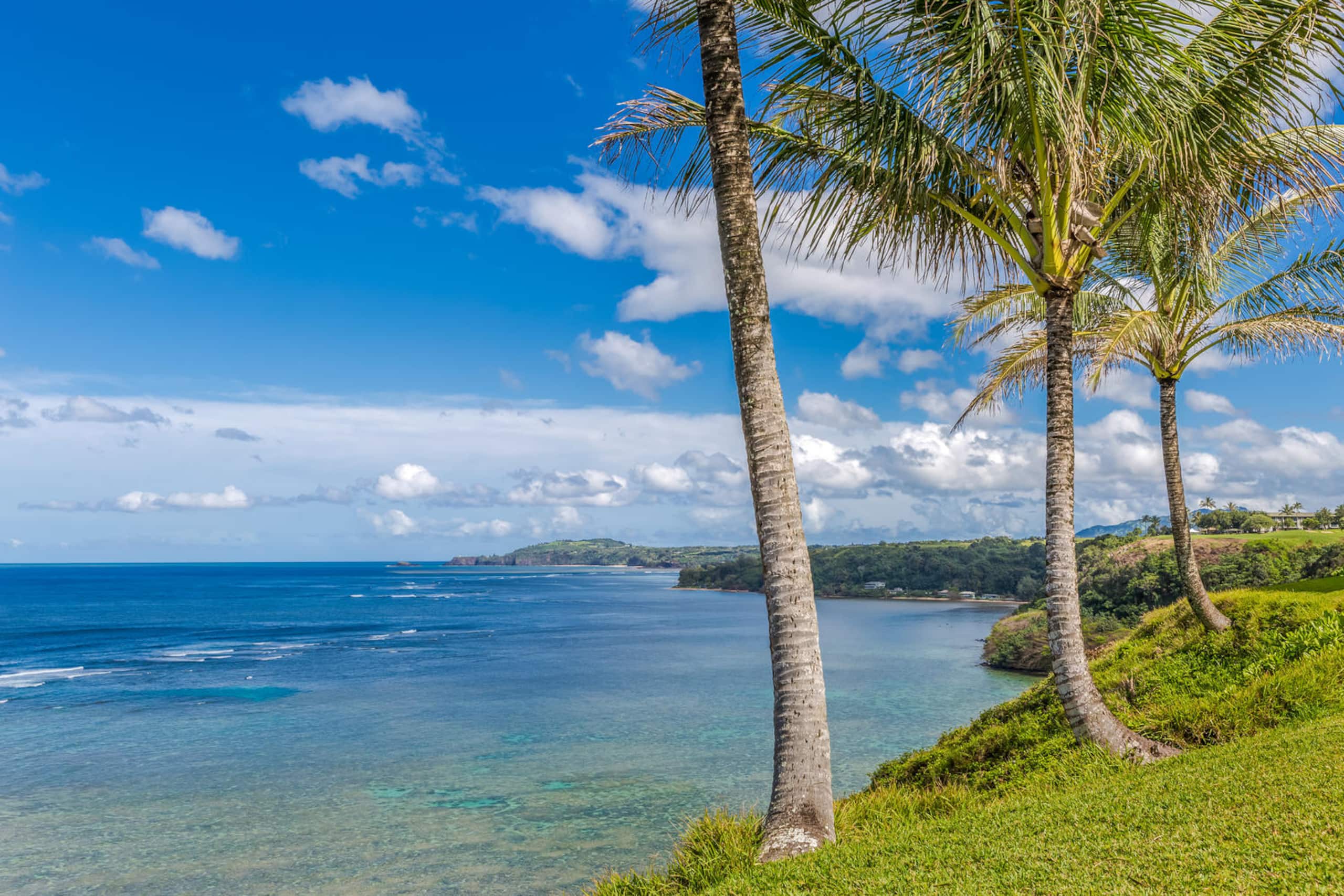 Home in Princeville · ★5.0 · 3 bedrooms · 3 beds · 3 baths - Image 34