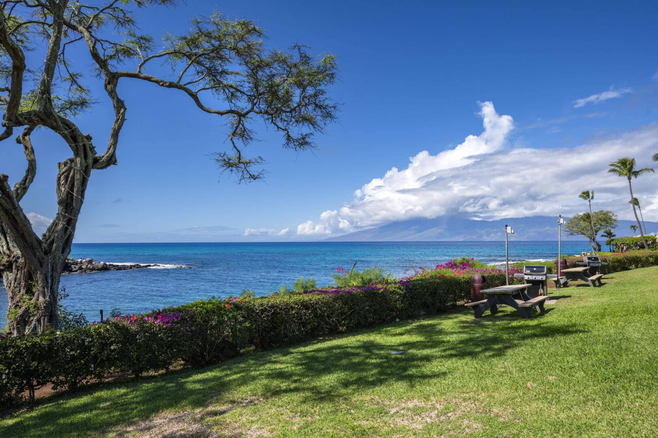 Napili Point A6 | Cozy Oceanfront 1BR Retreat - Image 34