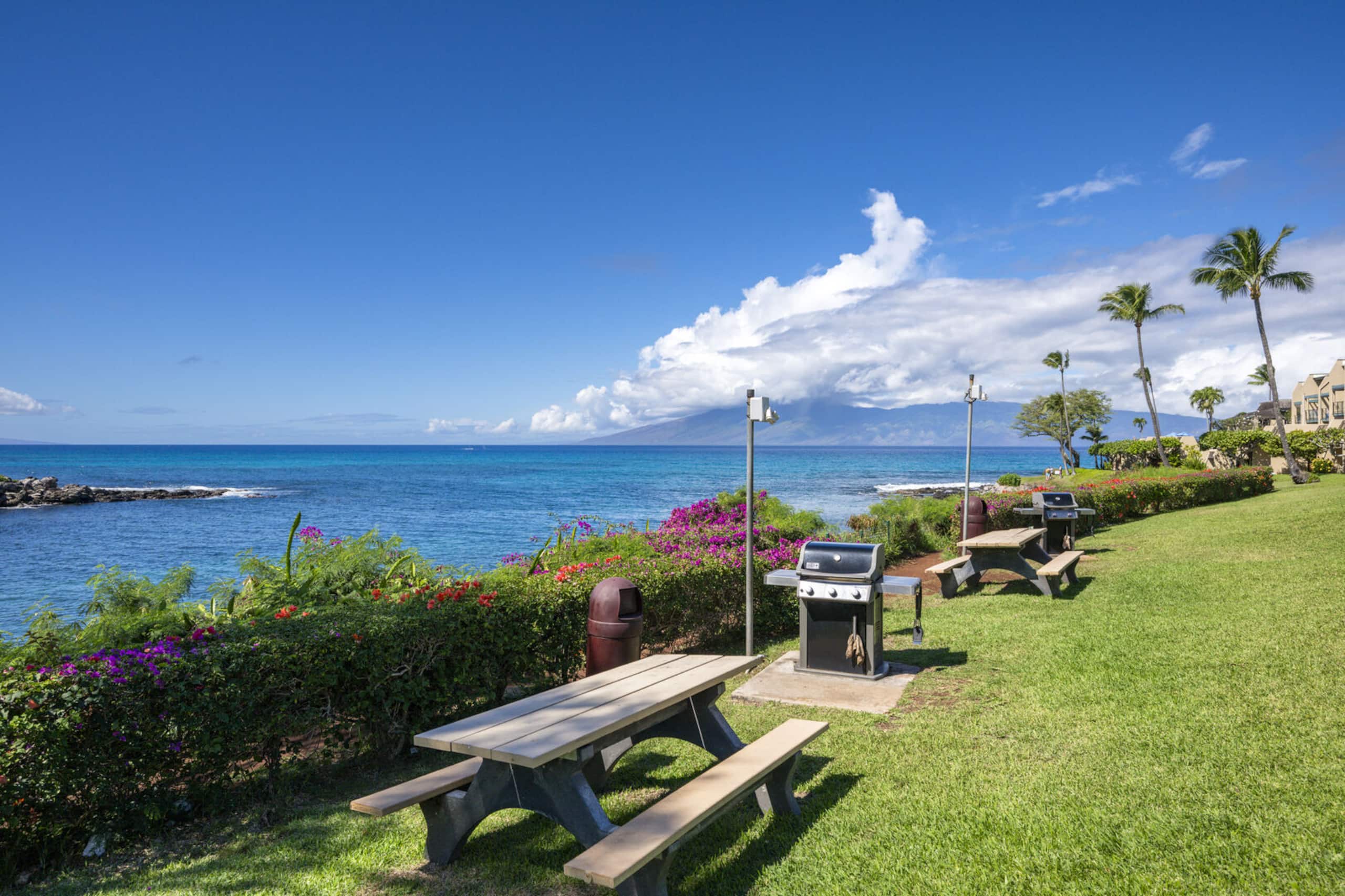 Napili Point A6 | Cozy Oceanfront 1BR Retreat - Image 33
