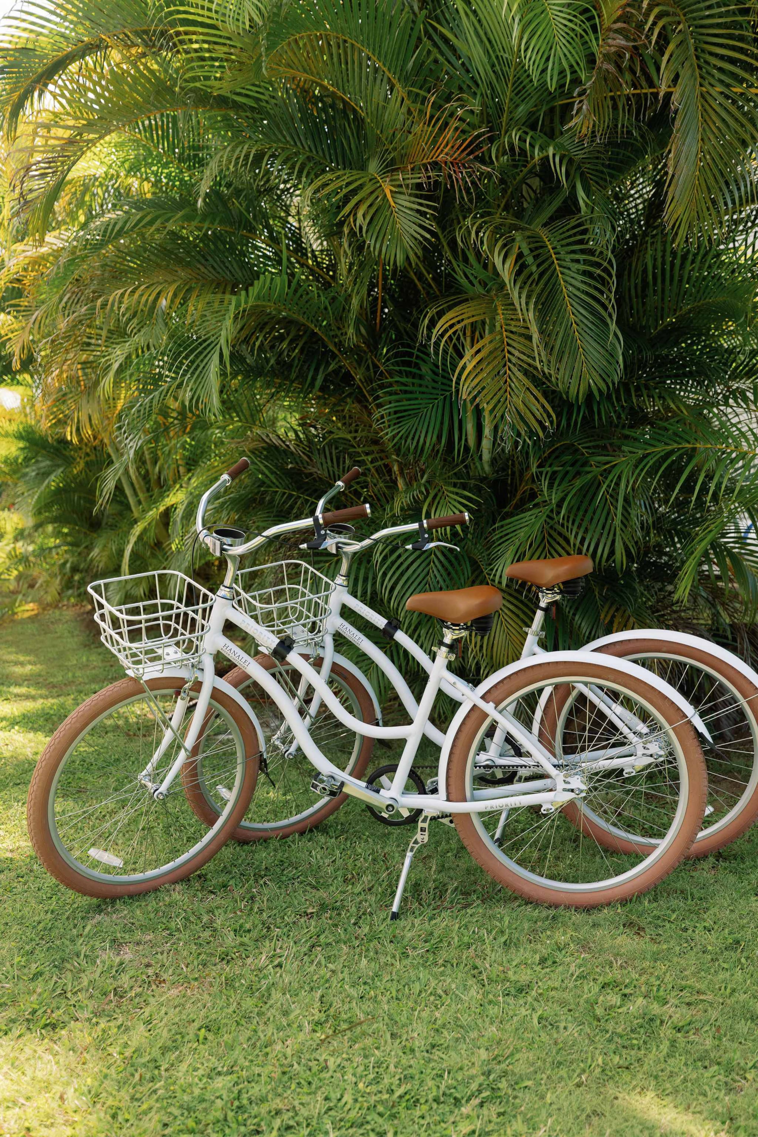 Home in Hanalei · ★5.0 · 2 bedrooms · 4 beds · 2 baths - Image 33