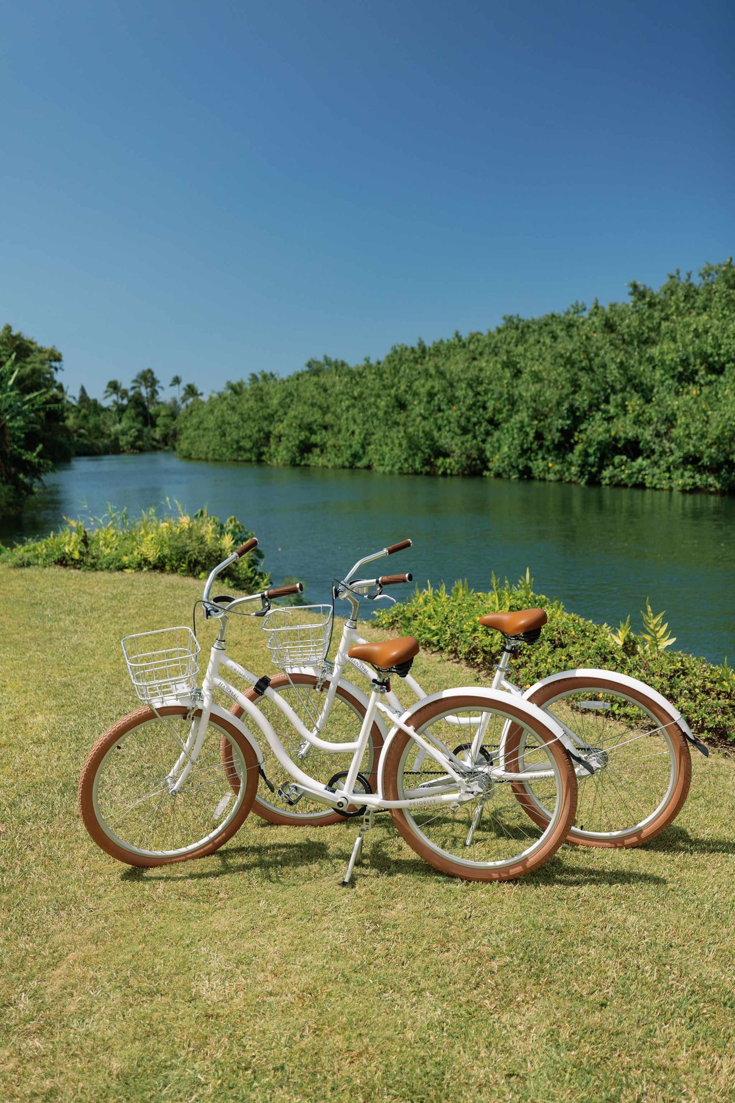 Home in Hanalei · ★5.0 · 2 bedrooms · 4 beds · 2 baths - Image 32