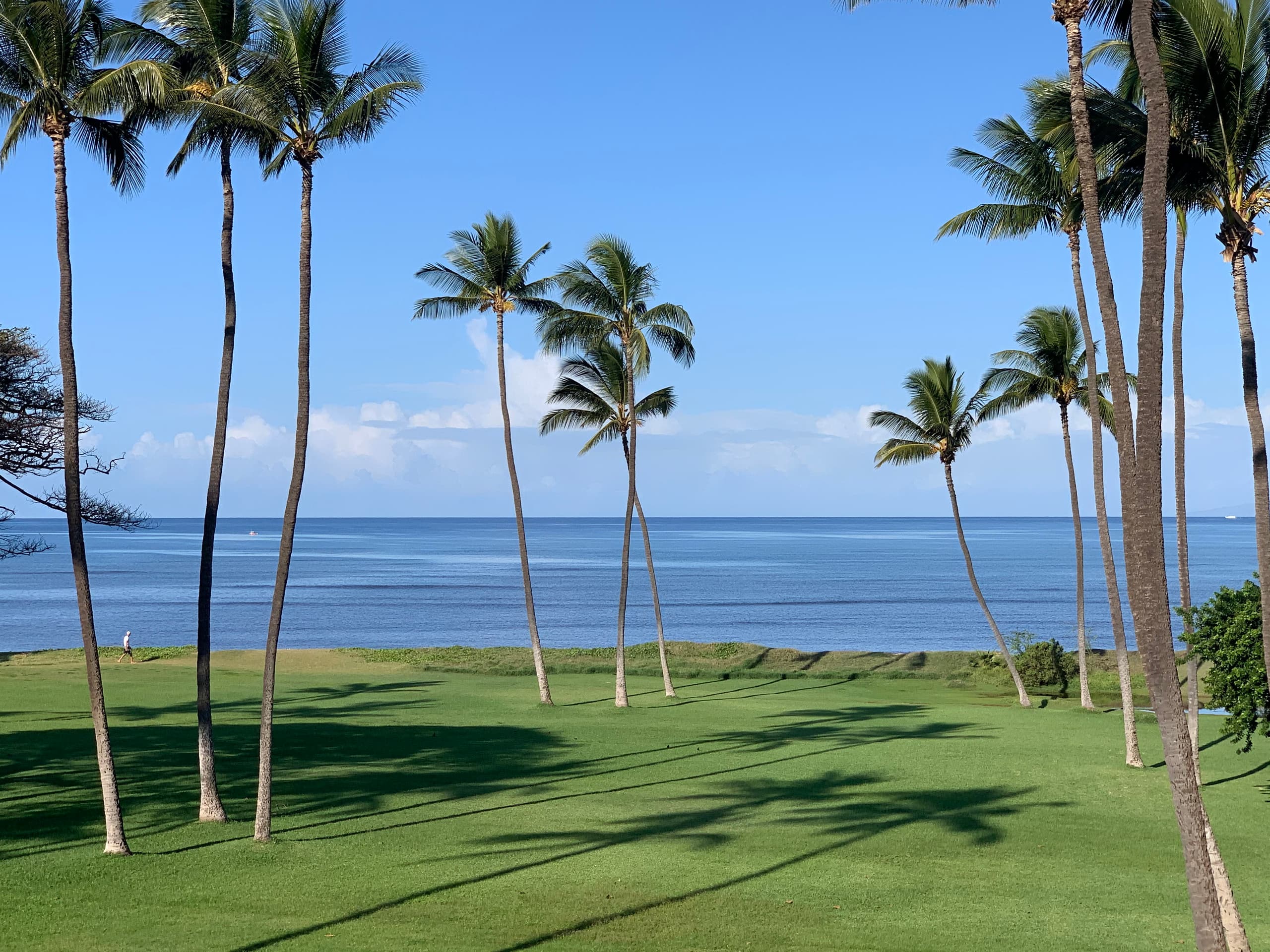 Ocean Front, Panoramic Ocean View 1st Floor LEI105 - Image 2