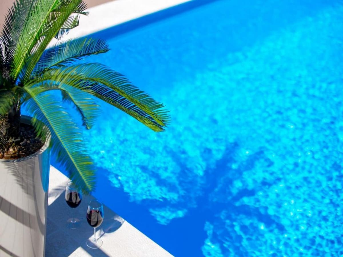 An outdoor swimming pool exhibits vibrant blue water, reflecting sunlight. A potted palm with lush fronds is positioned nearby, casting a subtle shadow on the pool's surface. Two glasses of red wine are placed next to the pool, enhancing the tranquil setting.