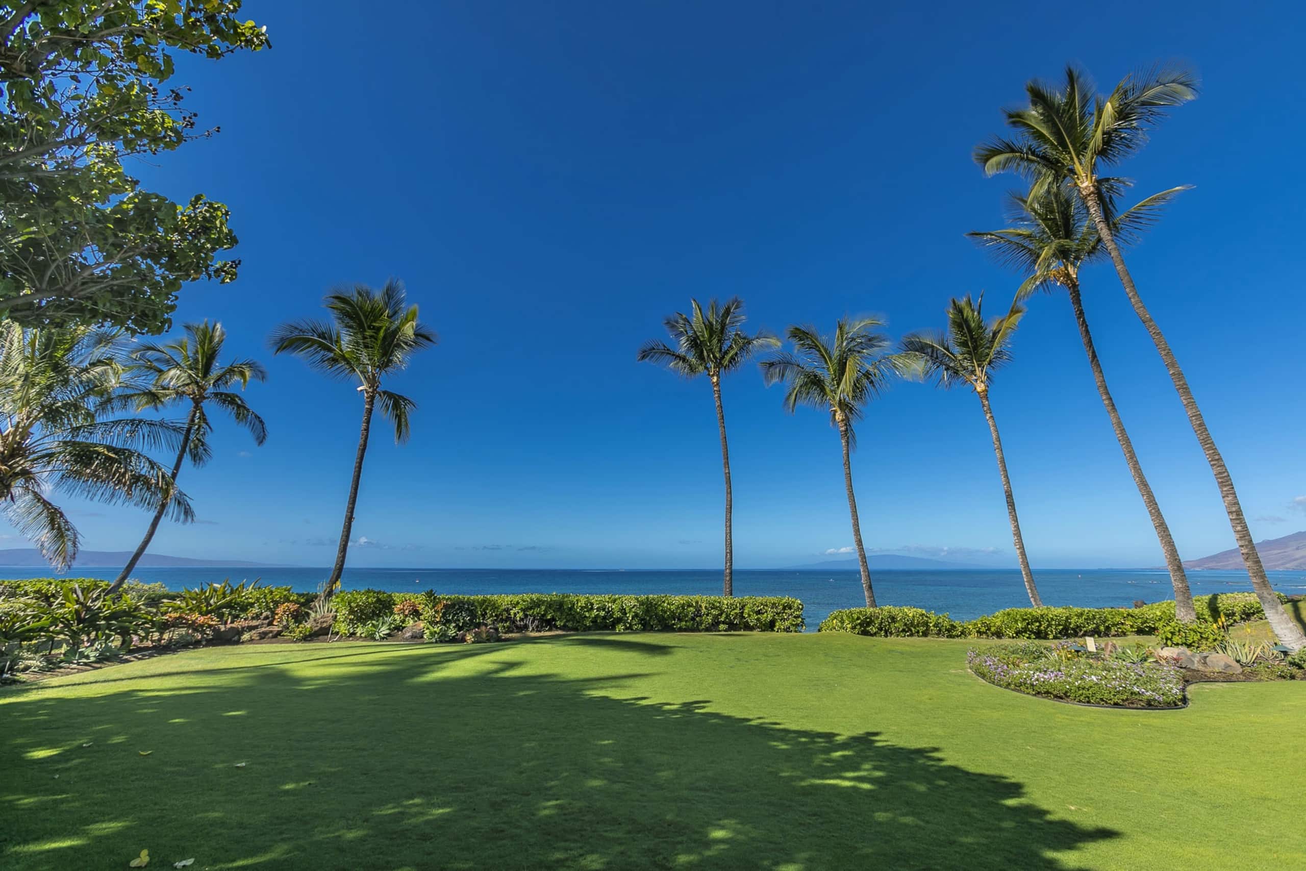 Home in Kihei · ★4.92 · 1 bedroom · 2 beds · 2 baths - Image 26