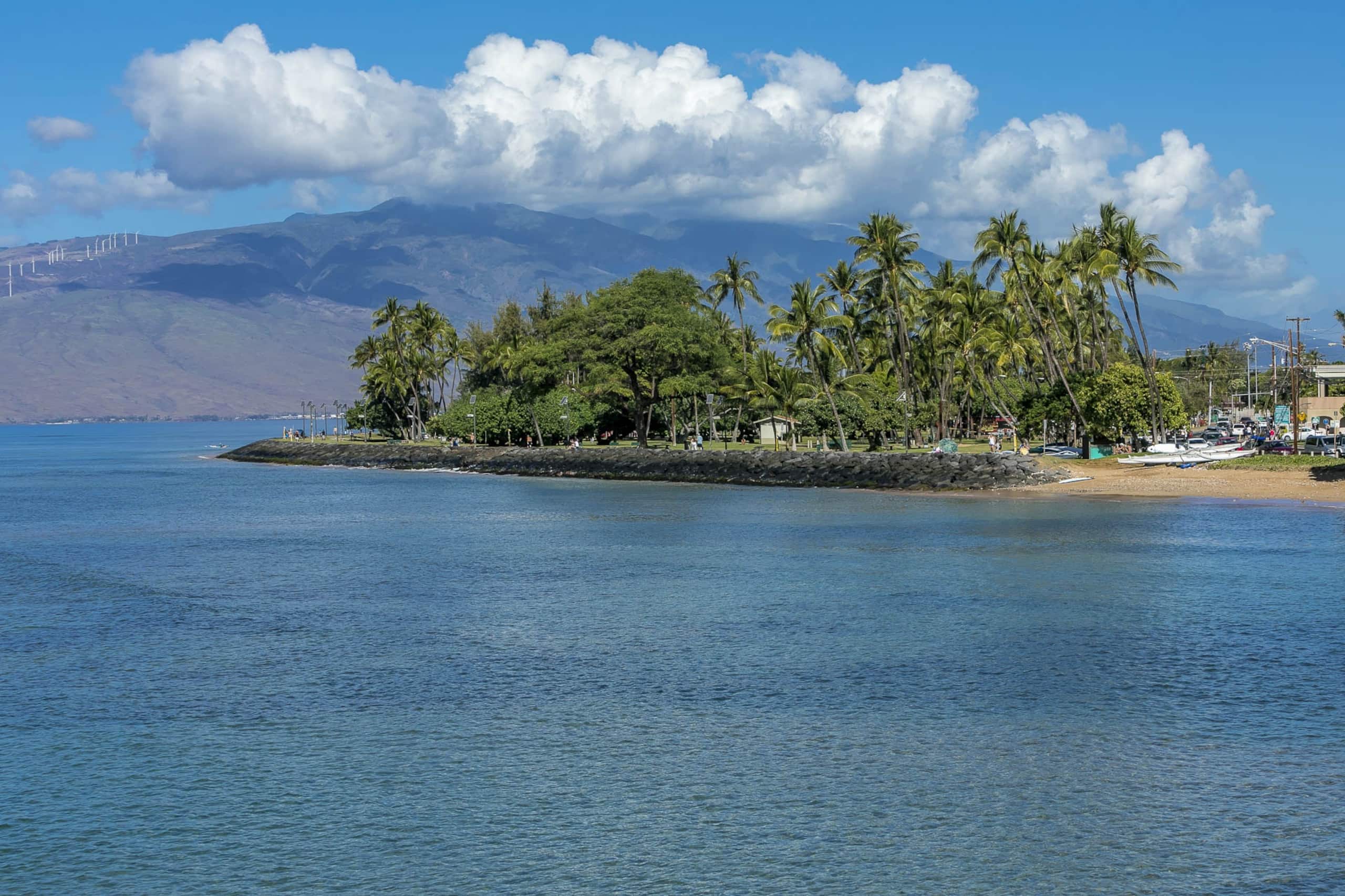Home in Kihei · ★4.92 · 1 bedroom · 2 beds · 2 baths - Image 28