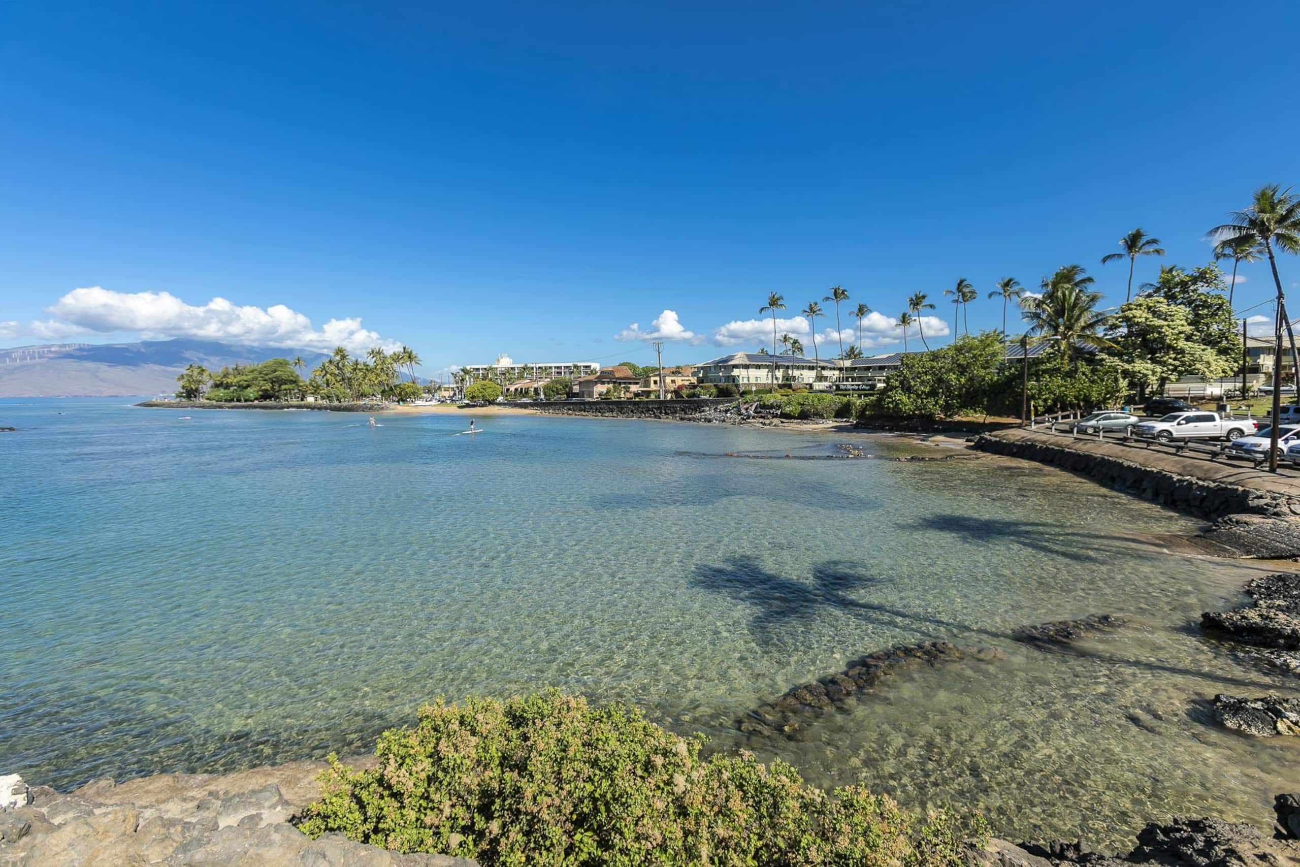 Home in Kihei · ★4.92 · 1 bedroom · 2 beds · 2 baths - Image 27