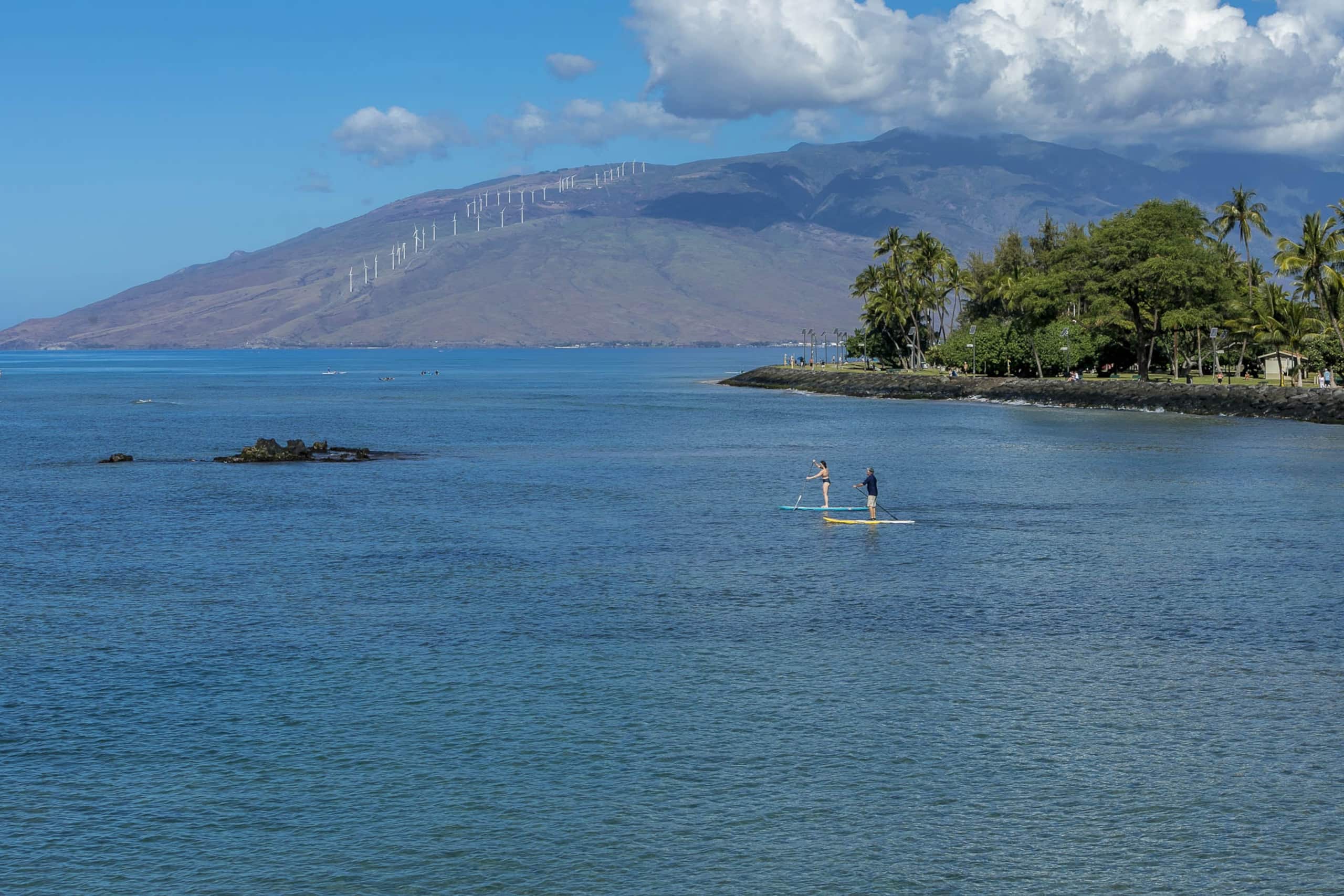 Home in Kihei · ★4.92 · 1 bedroom · 2 beds · 2 baths - Image 29