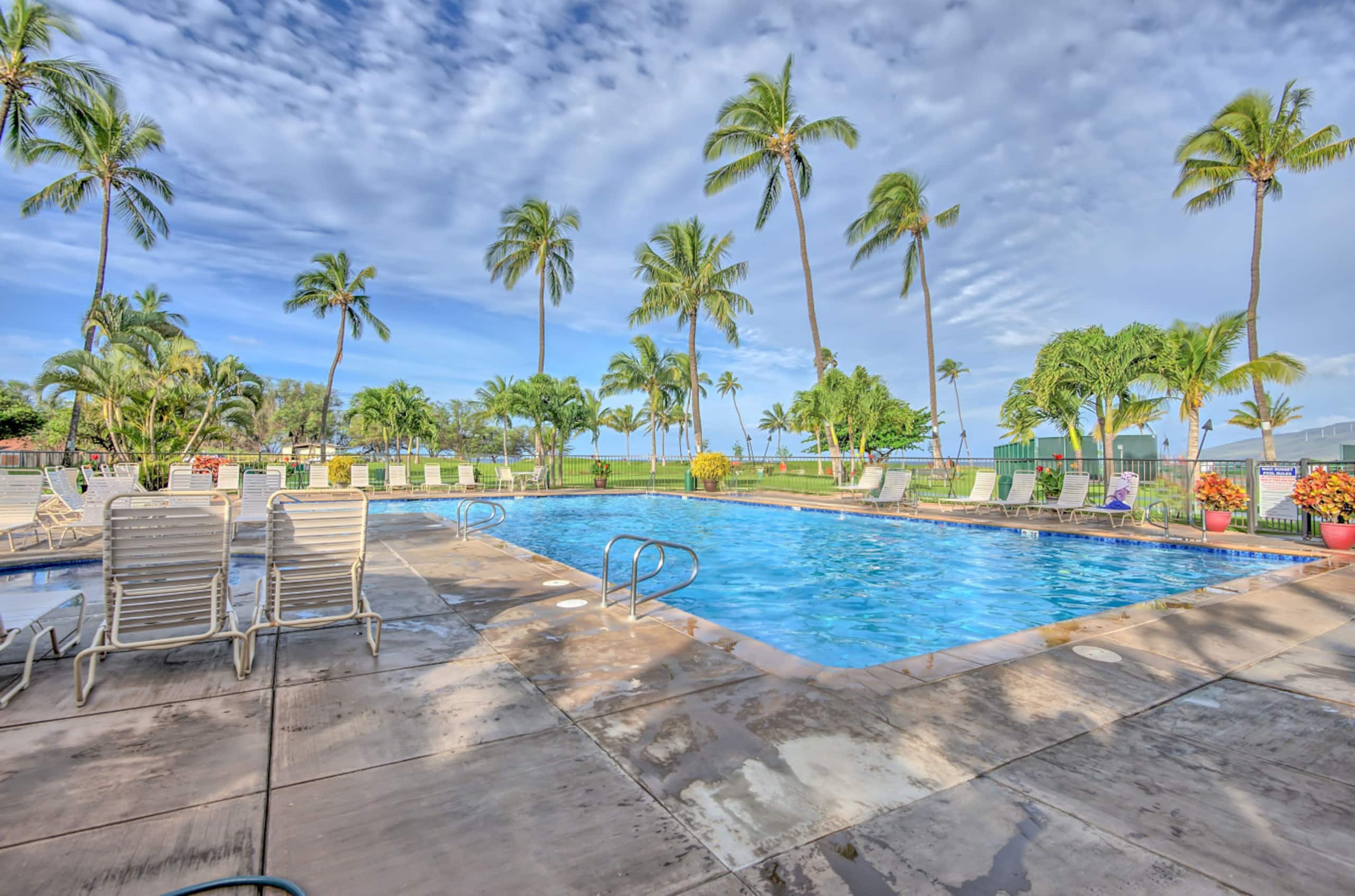 Oceanview-gorgeous sunsets-A/C free parking MSA308 - Image 1