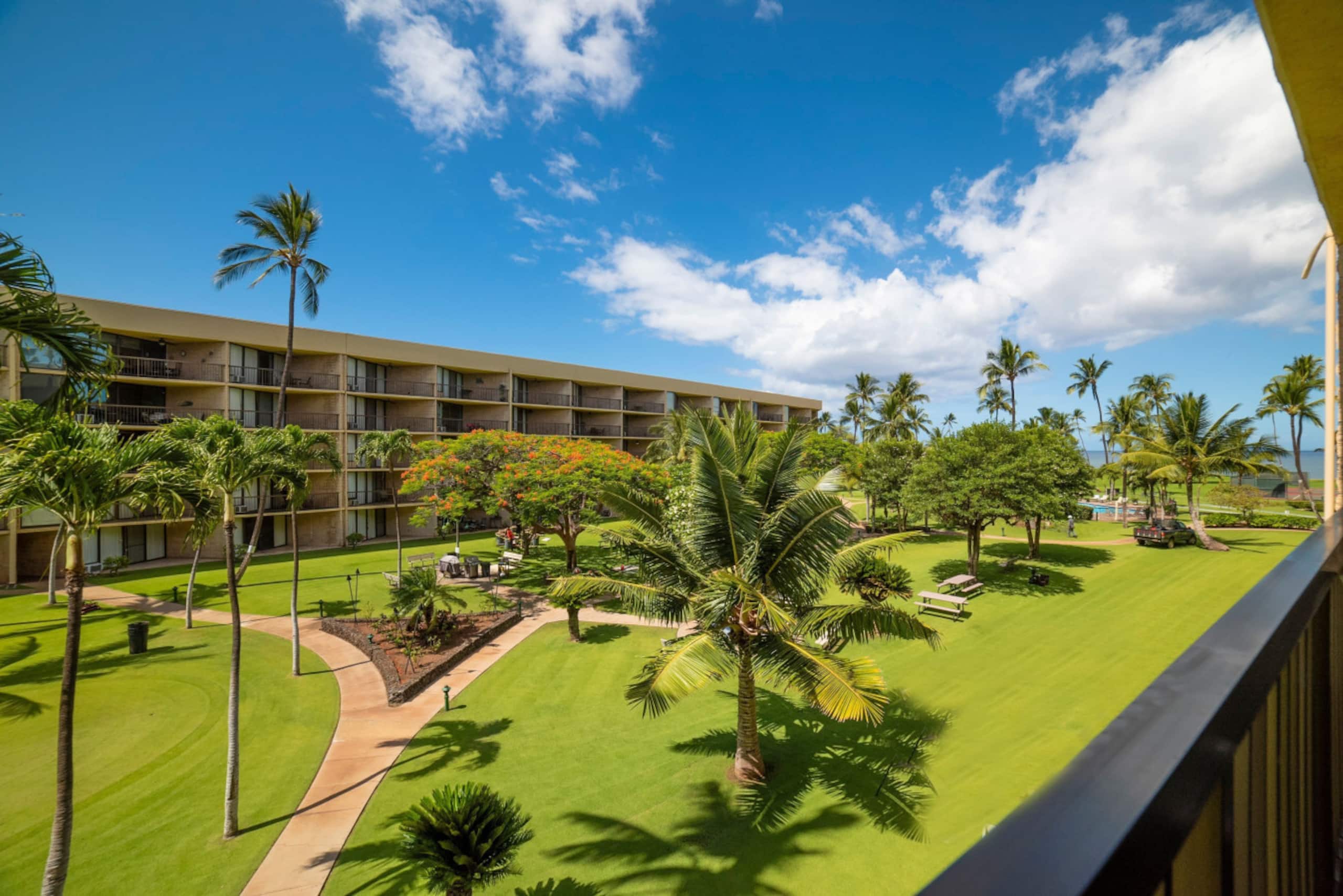 Oceanview-gorgeous sunsets-A/C free parking MSA308 - Image 27