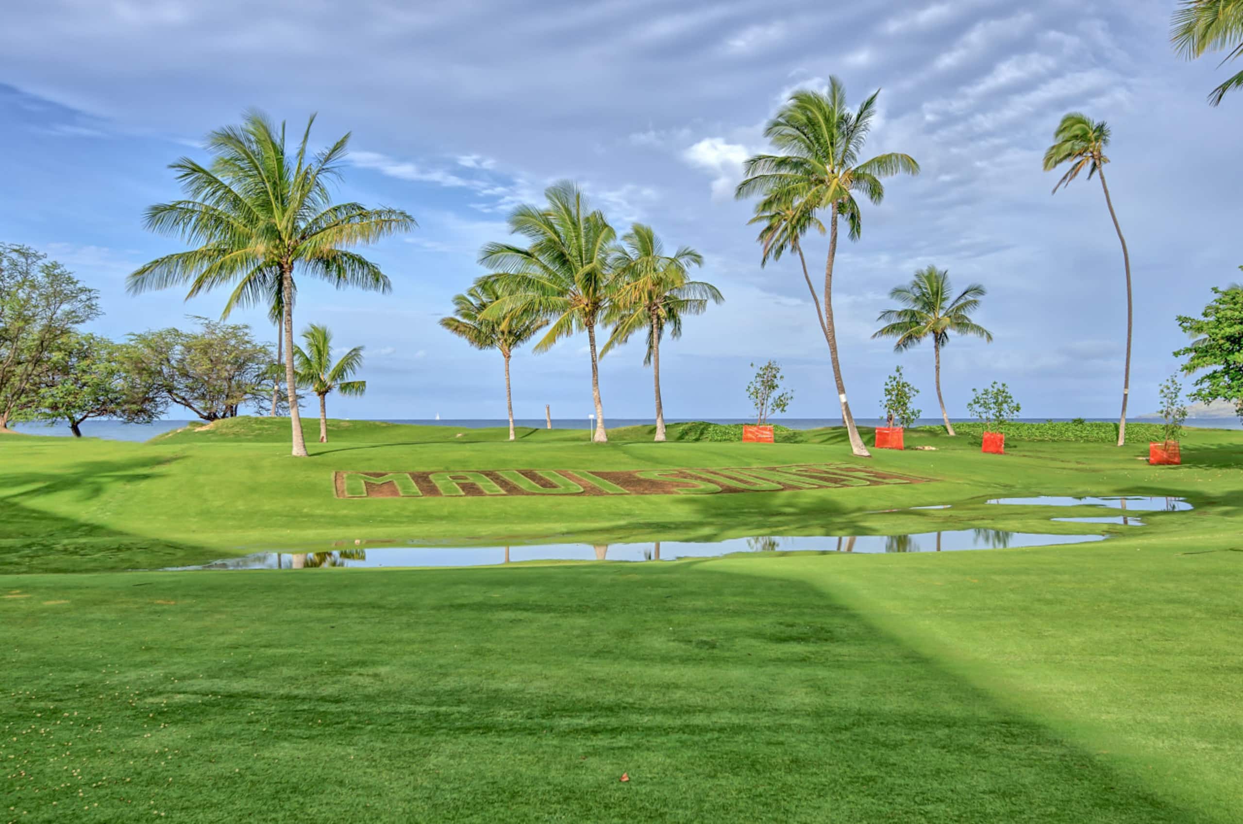Oceanview-gorgeous sunsets-A/C free parking MSA308 - Image 26
