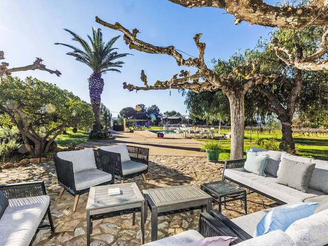 El Maset by Interhome gallery image 4