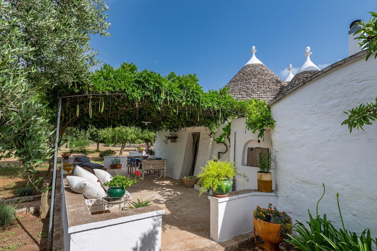 A shaded outdoor terrace is adorned with lush greenery overhead, providing a cool retreat. Planters with vibrant flowers and foliage are placed around. A rustic table with seating is set against a white wall, offering a seamless connection to nature.
