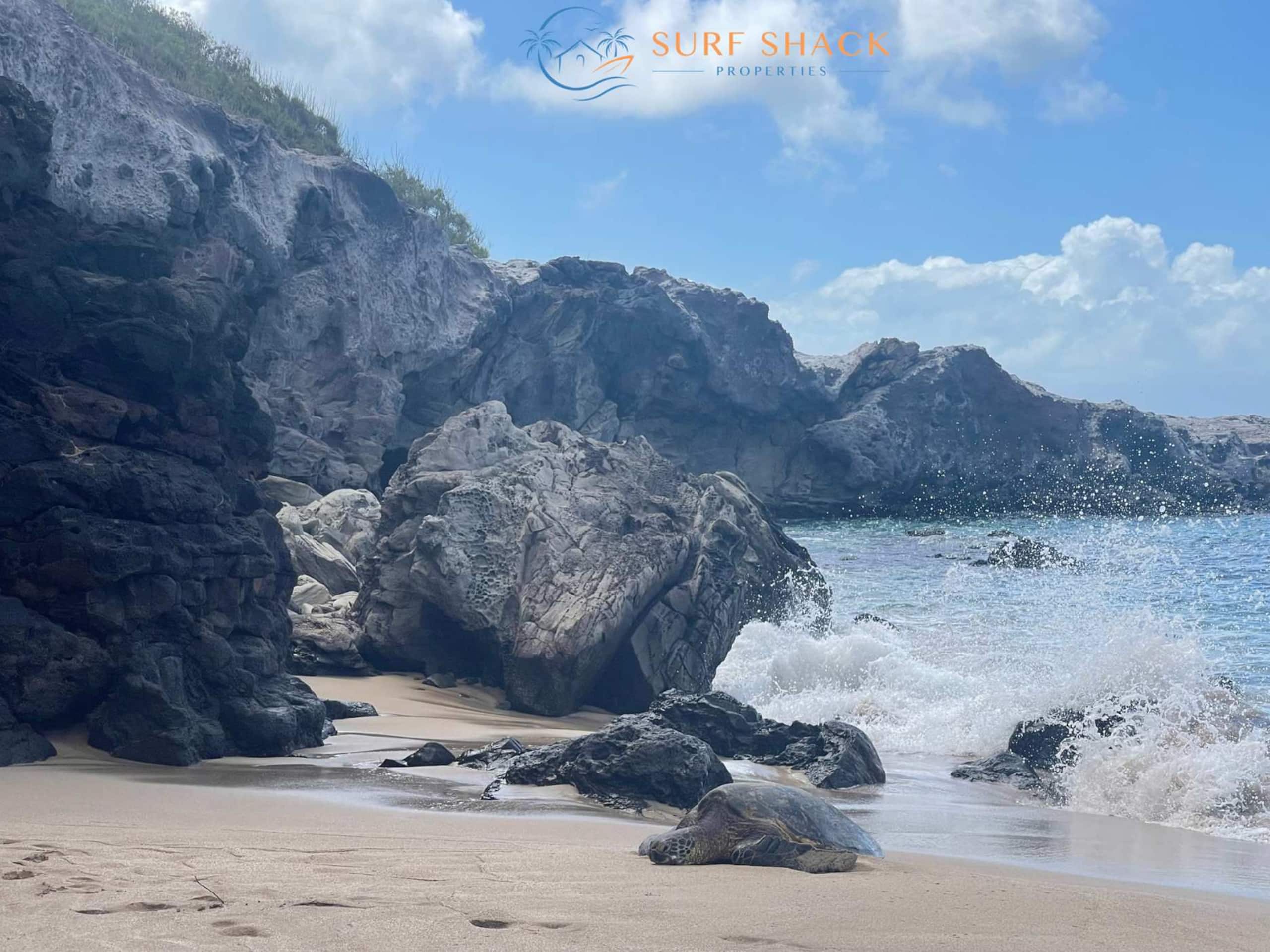 Oceanfront Seaside Sanctuary | 2 Lanai | Whales! - Image 18