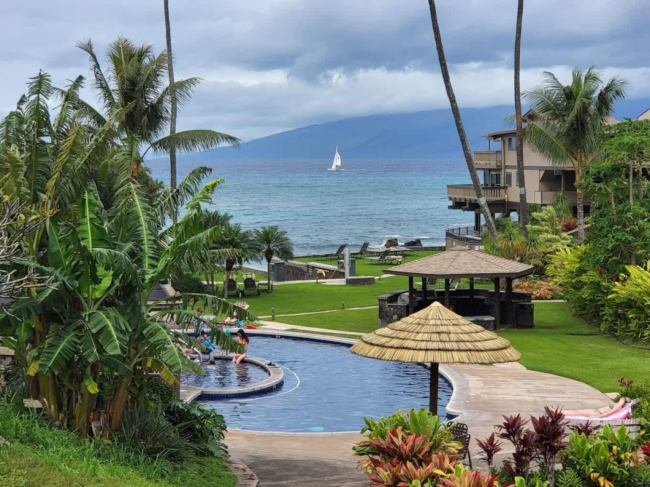 Oceanfront Seaside Sanctuary | 2 Lanai | Whales! - Image 28