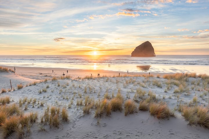 Surf Vista Beach Front Home - Houses for Rent in Pacific City