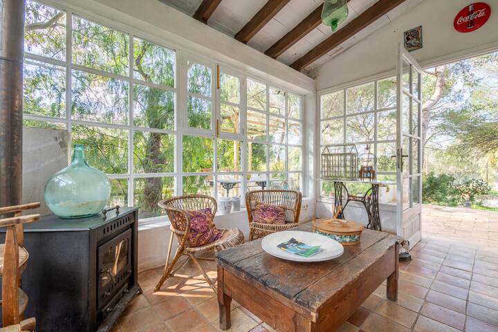 Son Oliver gallery image 4