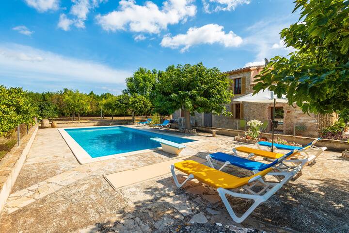 Manenta gallery image 3