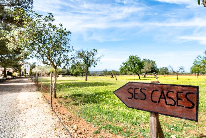 Ses Cases gallery image 5