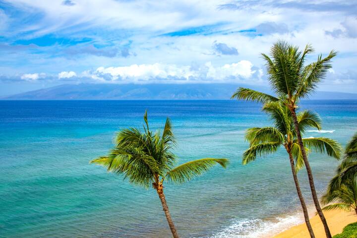 KBM Resorts | FREE CAR Mahana MAH-719 gallery image 5