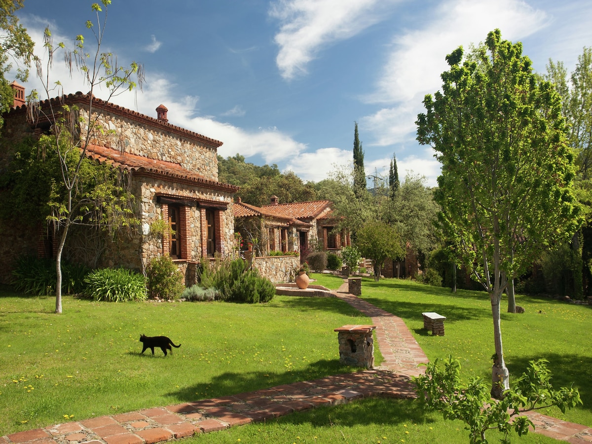 The stone holiday home is surrounded by a lush garden featuring pathways and well-maintained greenery. Several trees provide shade, and a black cat is seen walking along the paths. The structure's terracotta roof complements the natural setting under a clear blue sky.