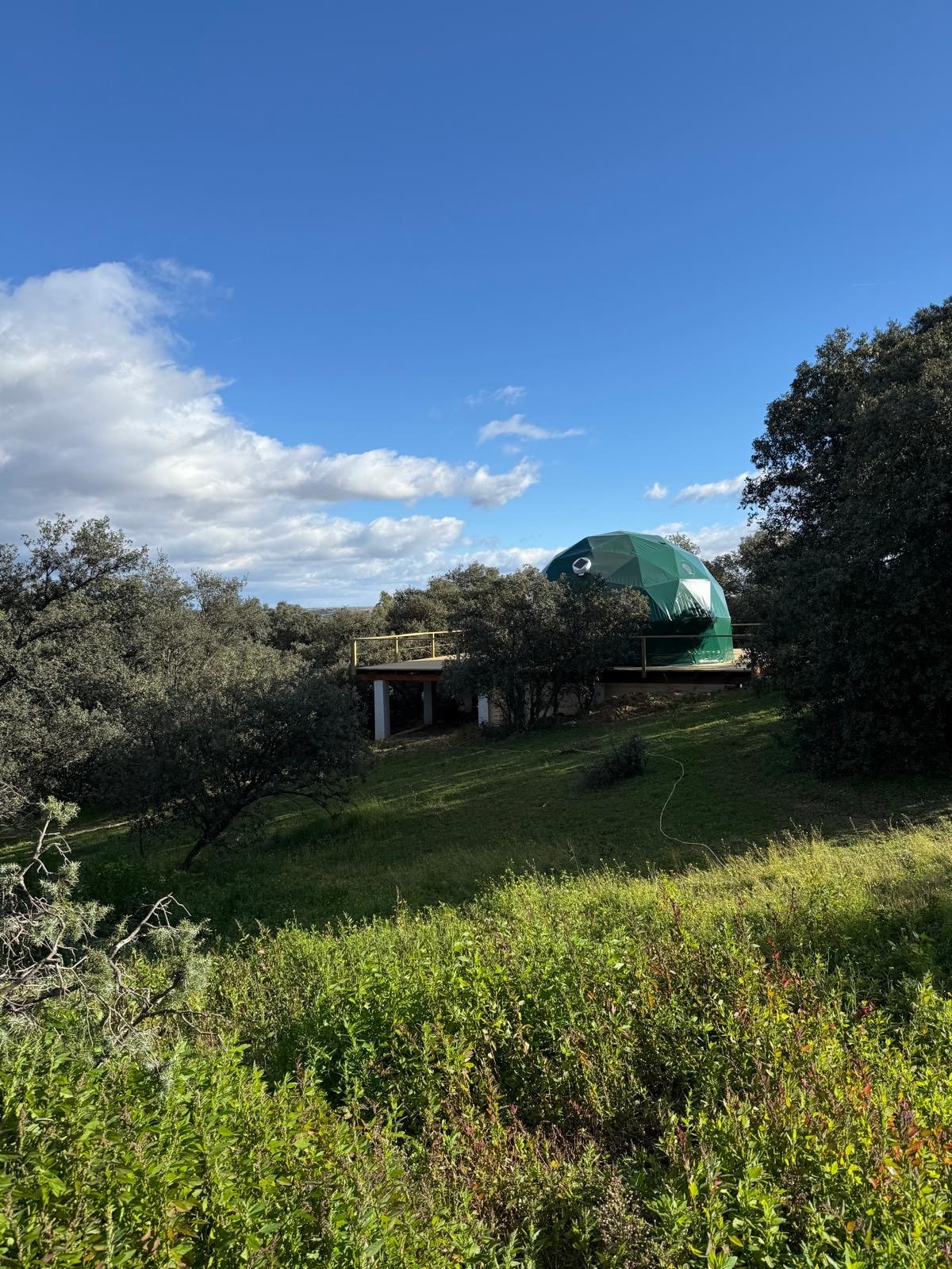 A geodesic dome is seen nestled among trees, set against a clear blue sky with fluffy clouds. The surrounding landscape features lush greenery and low shrubs, creating a natural and serene environment.