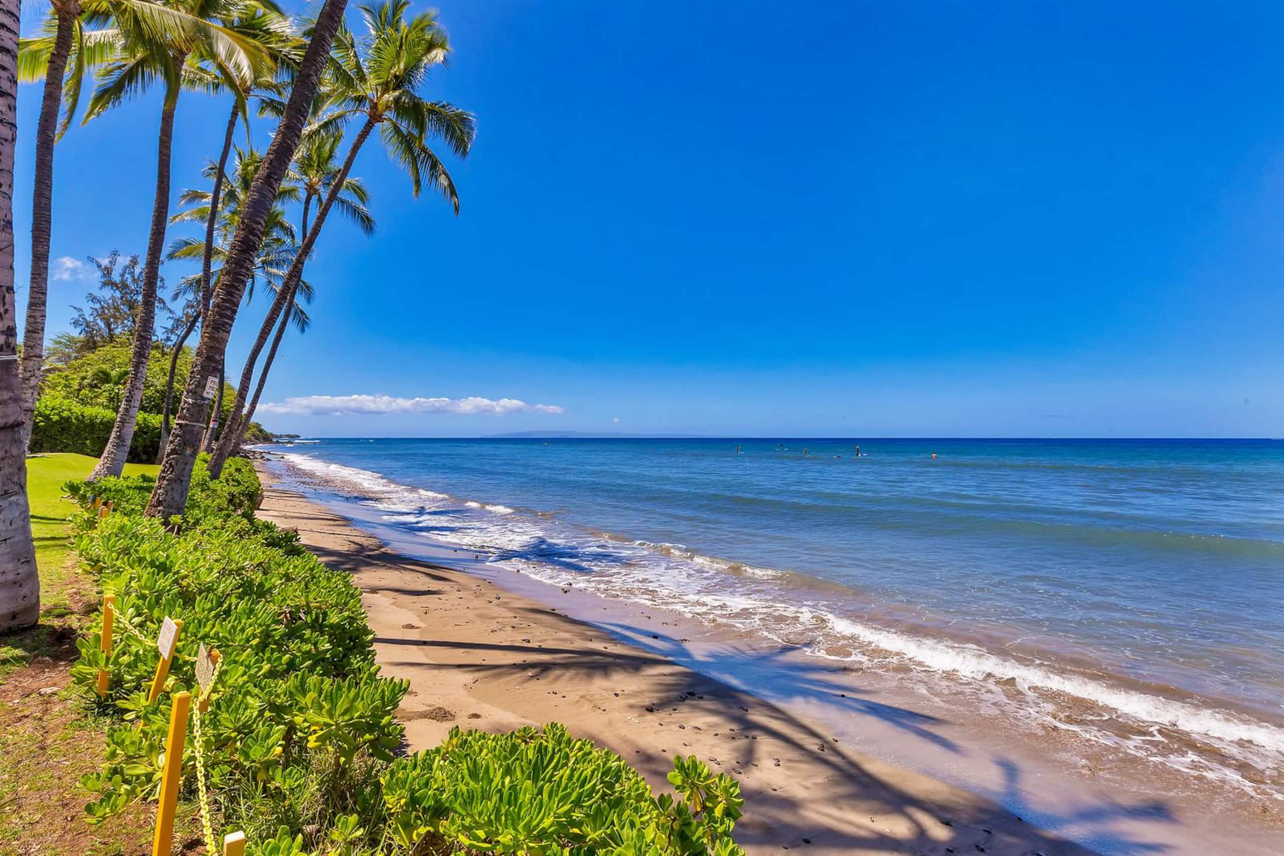272-1 Amazing views. Oceanfront! - Image 34