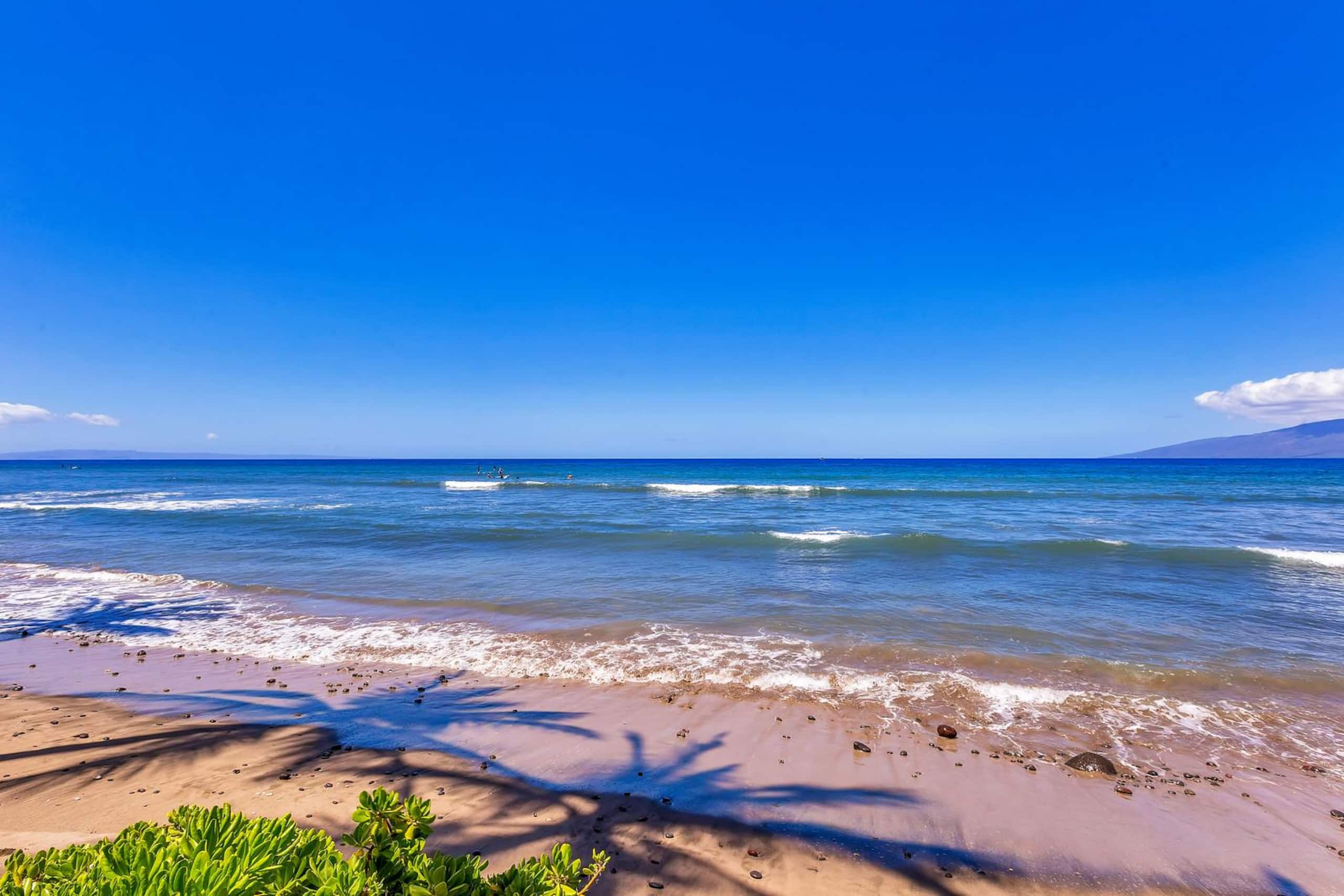 272-1 Amazing views. Oceanfront! - Image 31