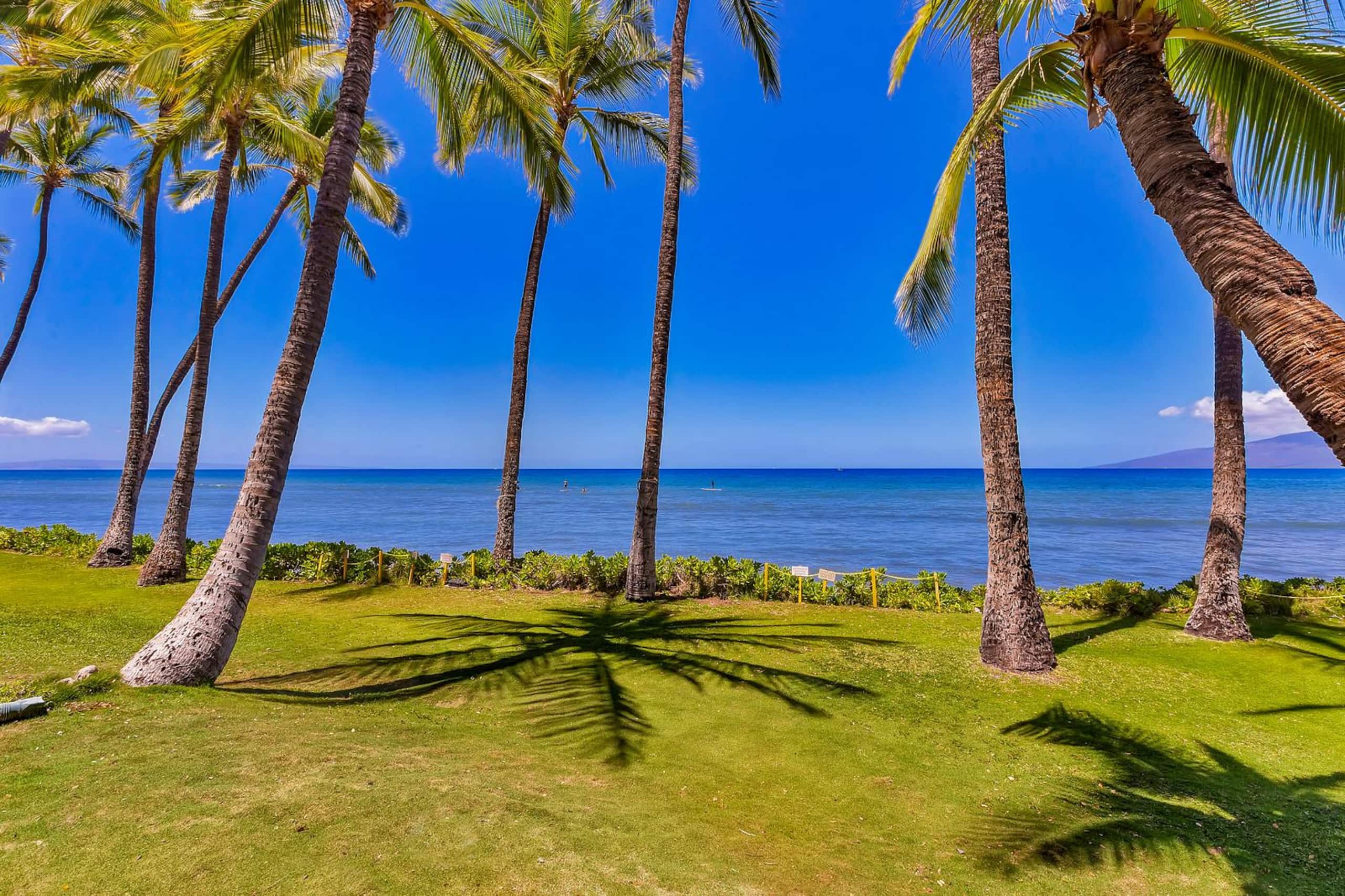272-1 Amazing views. Oceanfront! - Image 33