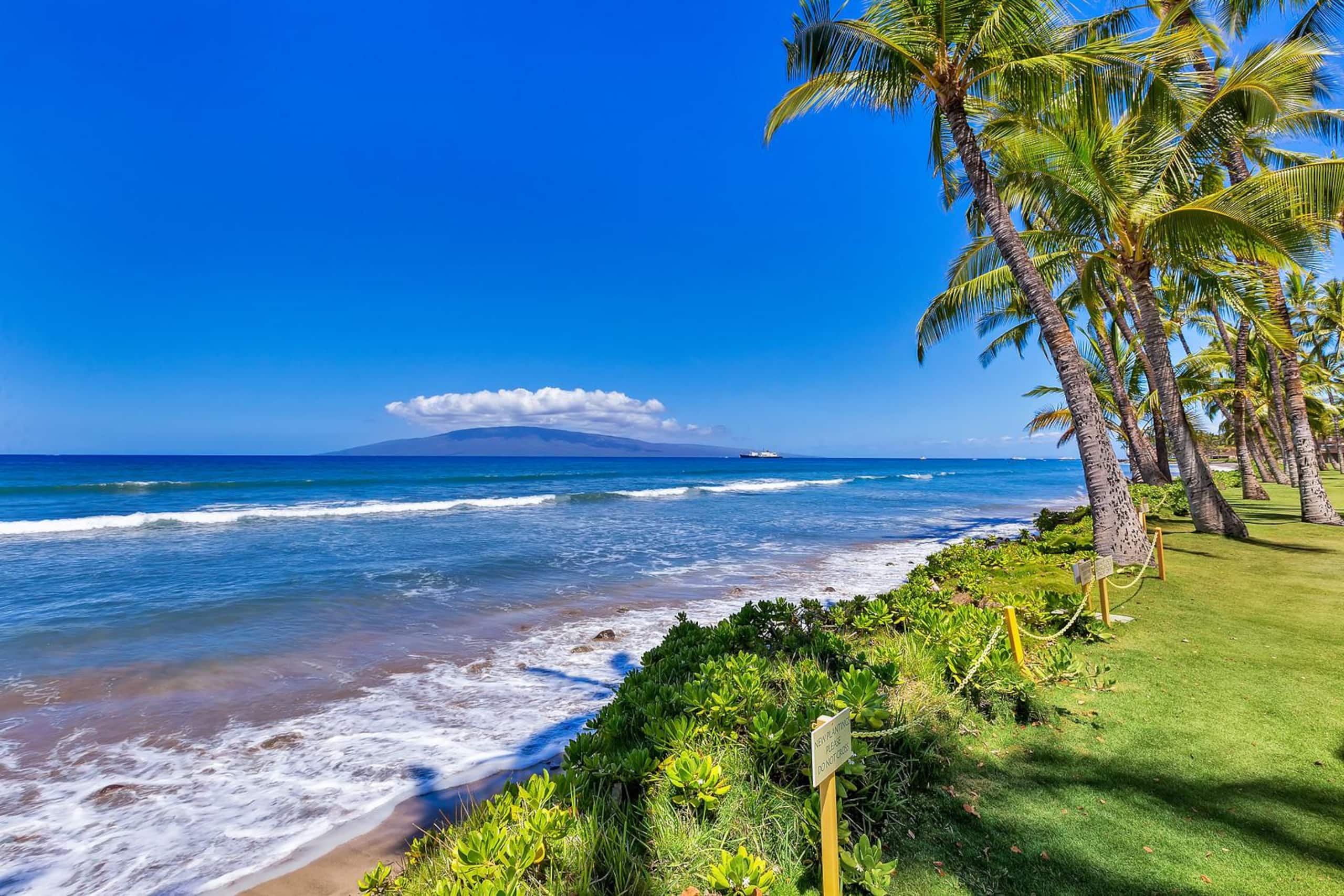 272-1 Amazing views. Oceanfront! - Image 32