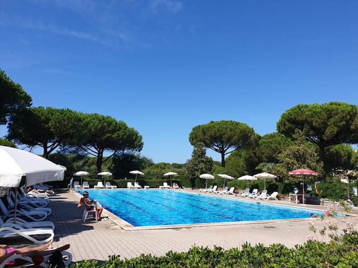 Melograni Bilocale - Bibbona