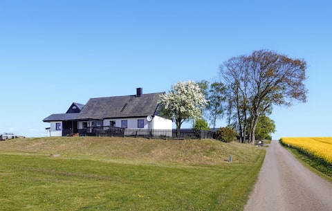 Stunning home in Hammenhög with sauna