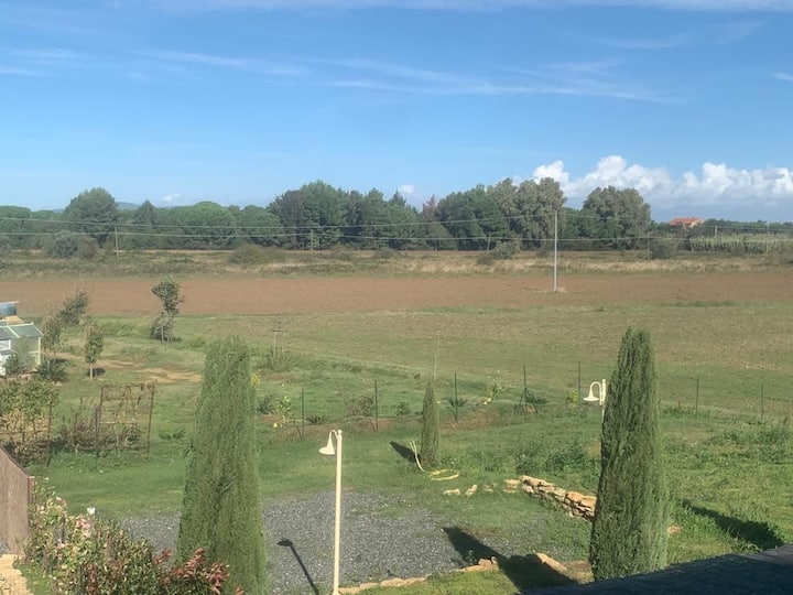 Fattoria Palazzeta Viletta Bilo 2 Piani - Rosignano Marittimo