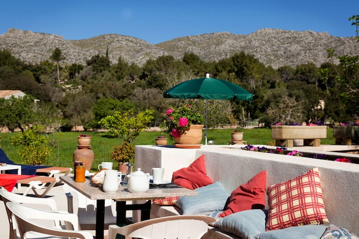 Tirana - Puerto de Pollensa
