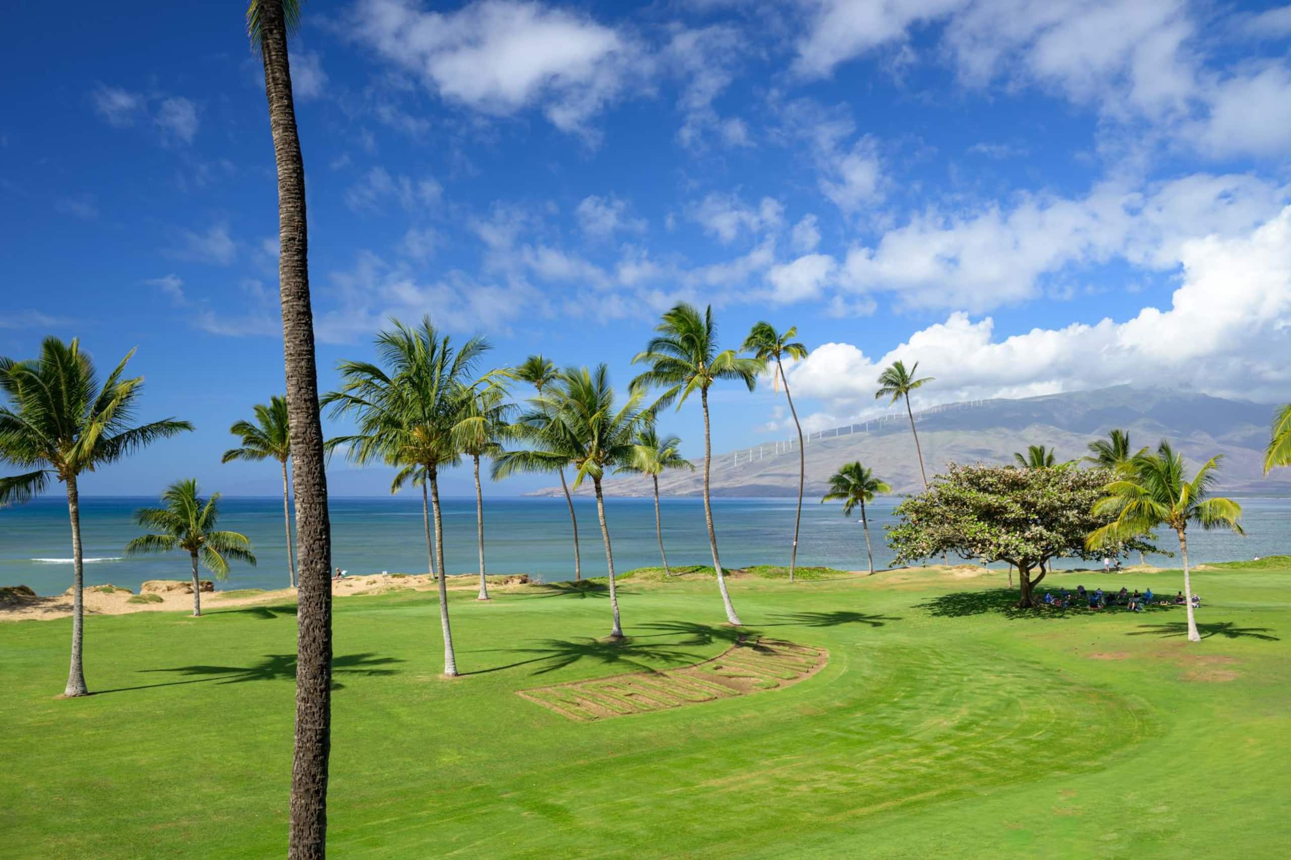 Condo in Kihei · ★4.91 · 3 bedrooms · 4 beds · 3 baths - Image 31