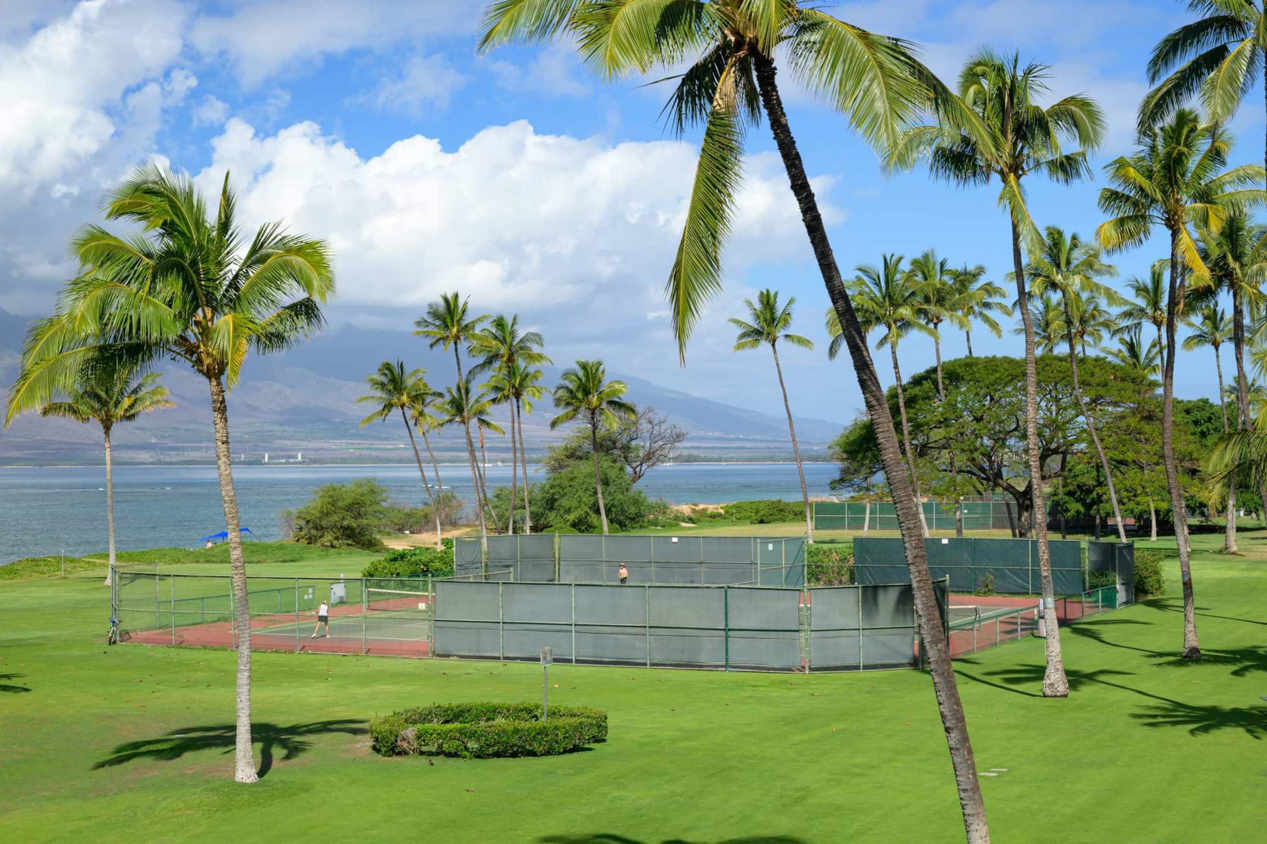 Condo in Kihei · ★4.91 · 3 bedrooms · 4 beds · 3 baths - Image 29