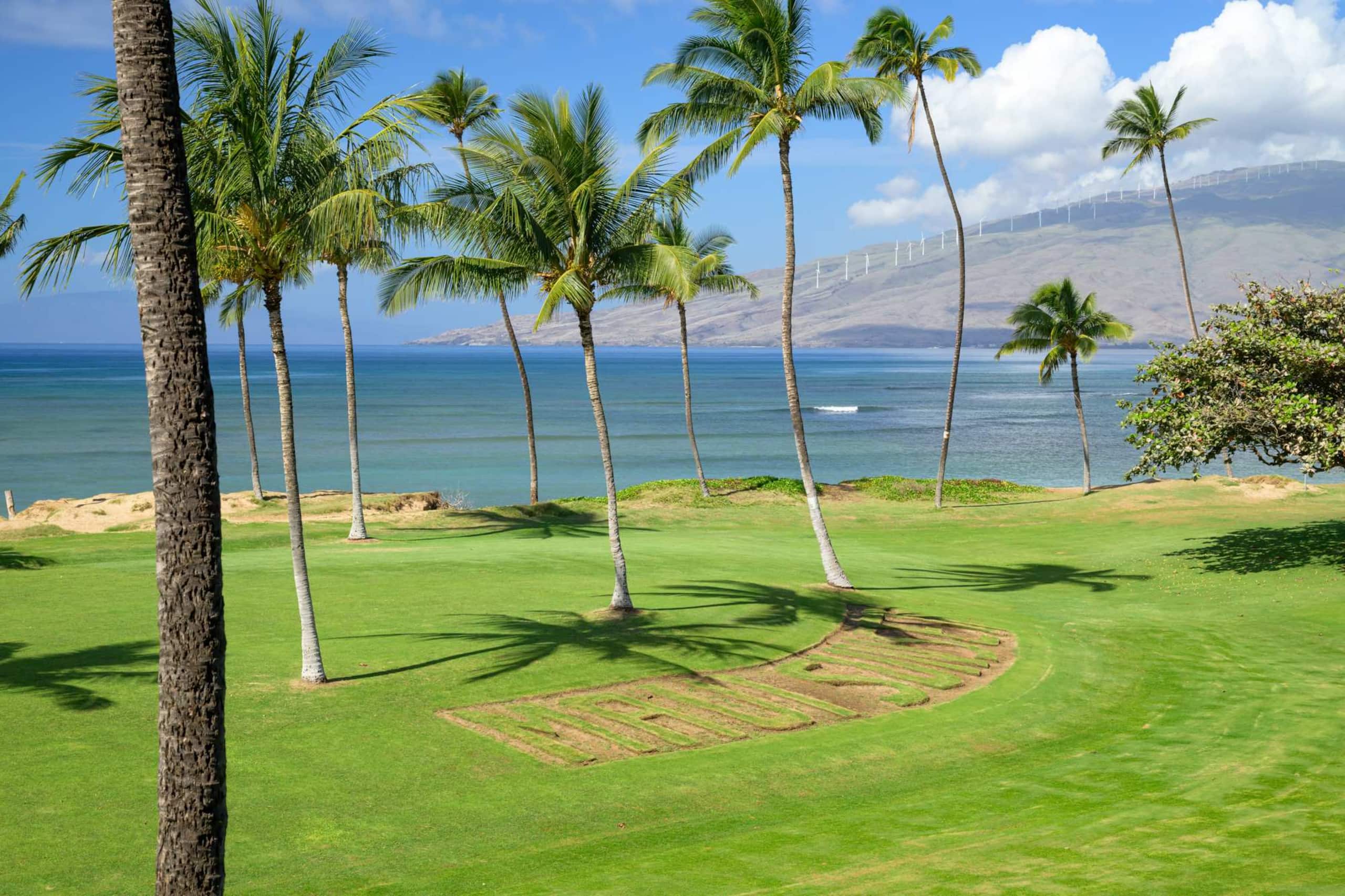 Condo in Kihei · ★4.91 · 3 bedrooms · 4 beds · 3 baths - Image 32