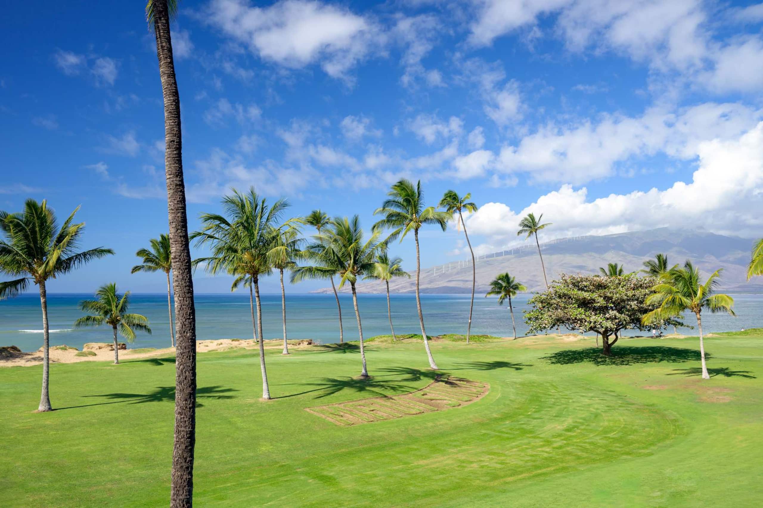 Condo in Kihei · ★4.91 · 3 bedrooms · 4 beds · 3 baths - Image 30