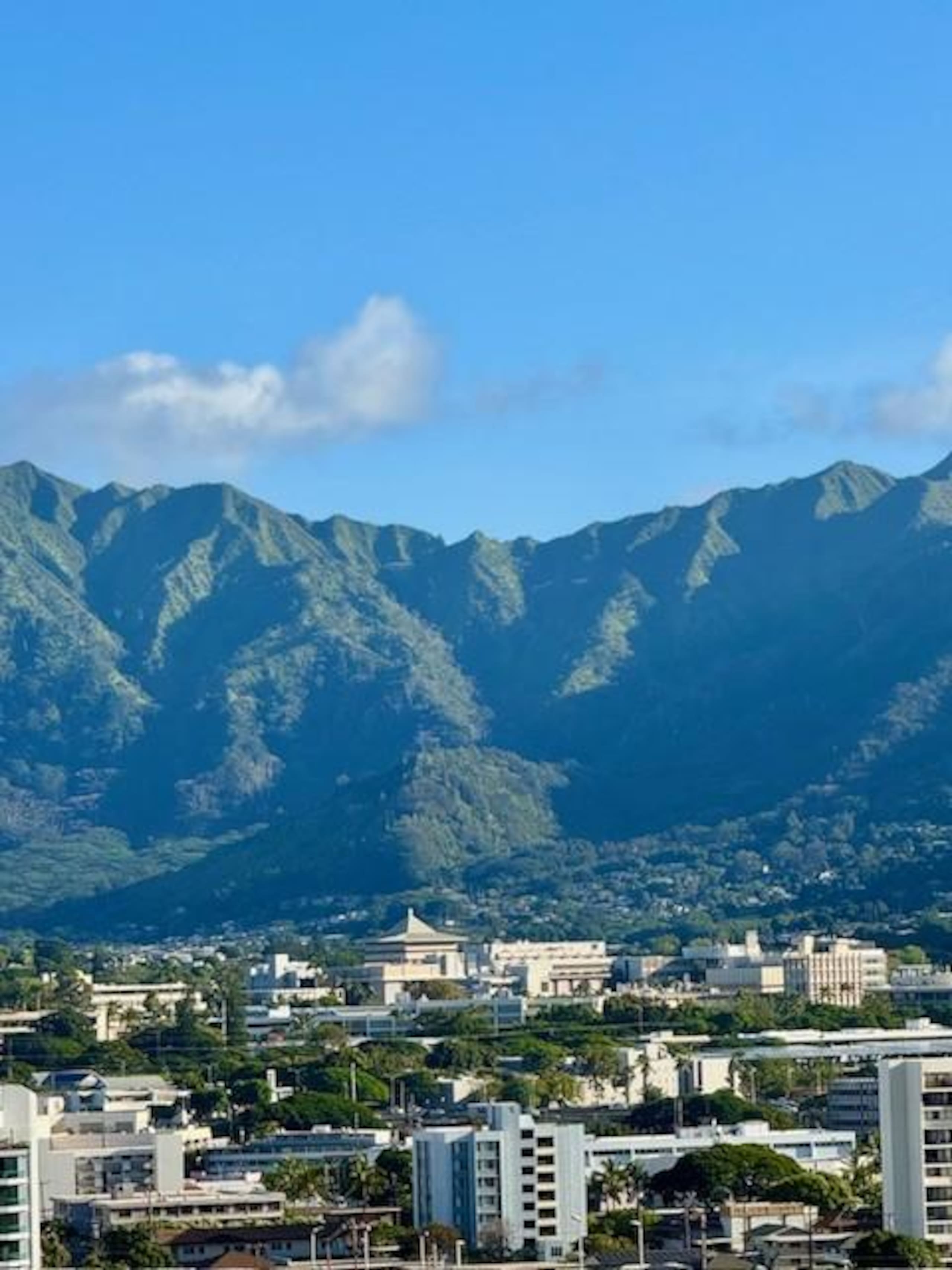 Condo in Honolulu · ★4.84 · Studio · 1 bed · 1 private bath - Image 16