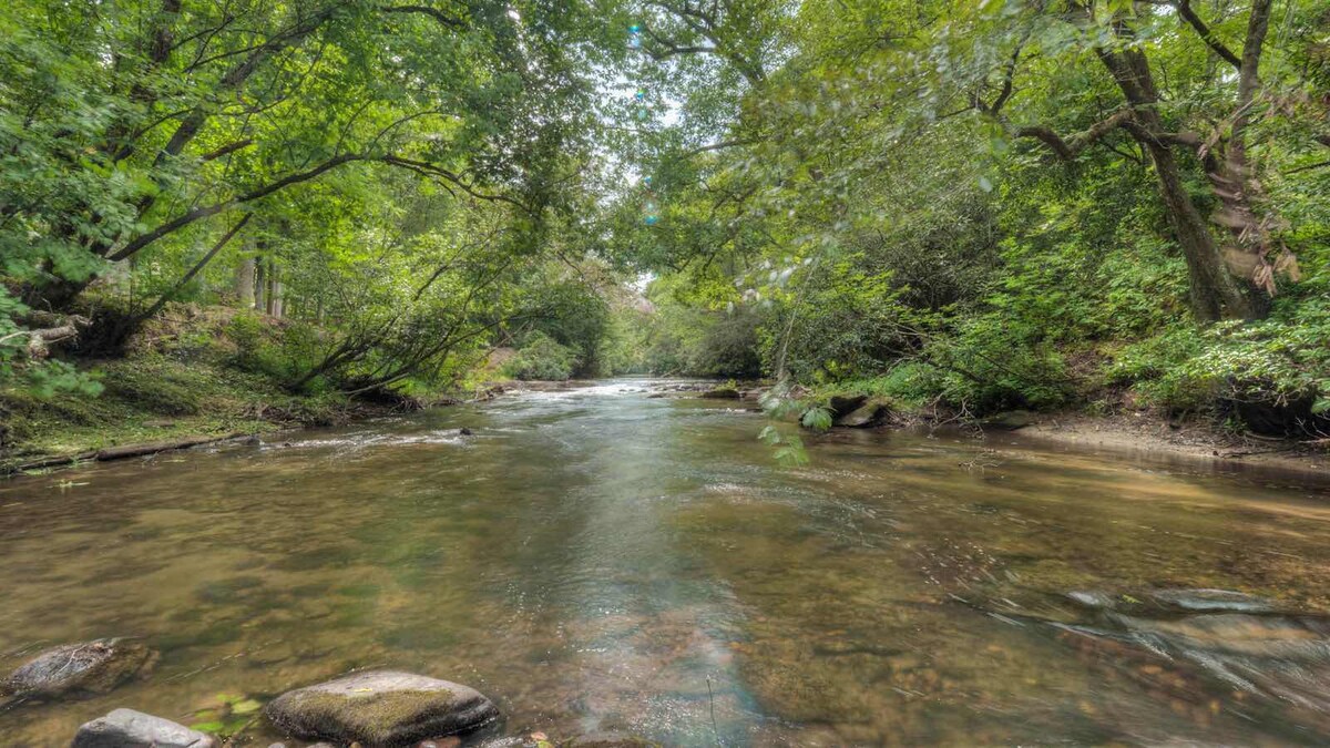 A clear stretch of Fightingtown Creek flows gently, surrounded by verdant trees and lush greenery. The water reflects the sunlight, creating a peaceful atmosphere. Smooth stones are partially visible along the creek's edge, completing the serene natural setting.