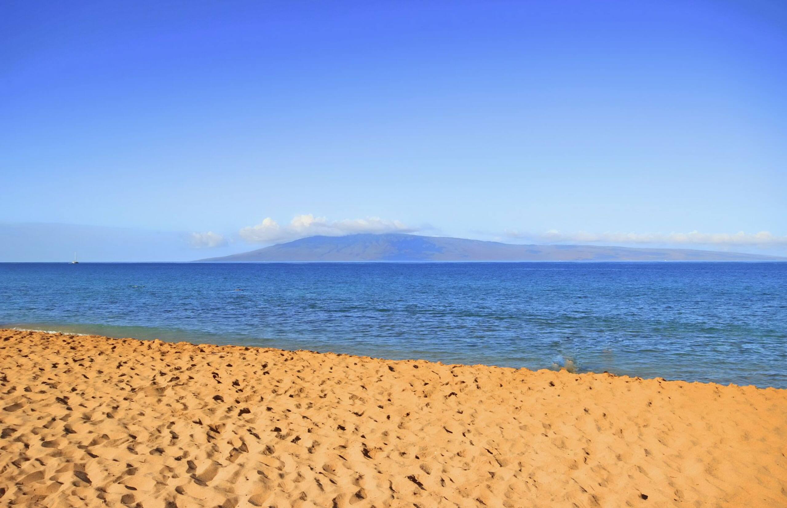 Condo in Lahaina · ★4.93 · 2 bedrooms · 3 beds · 1 bath - Image 27