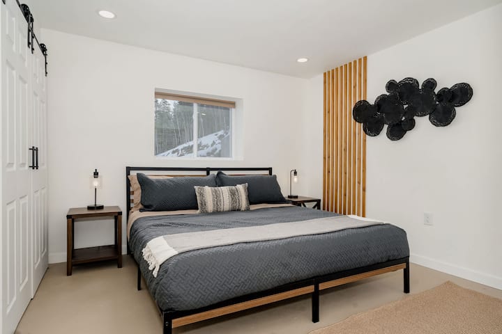 3rd Bedroom with King Bed and more privacy in the basement with a double closet.